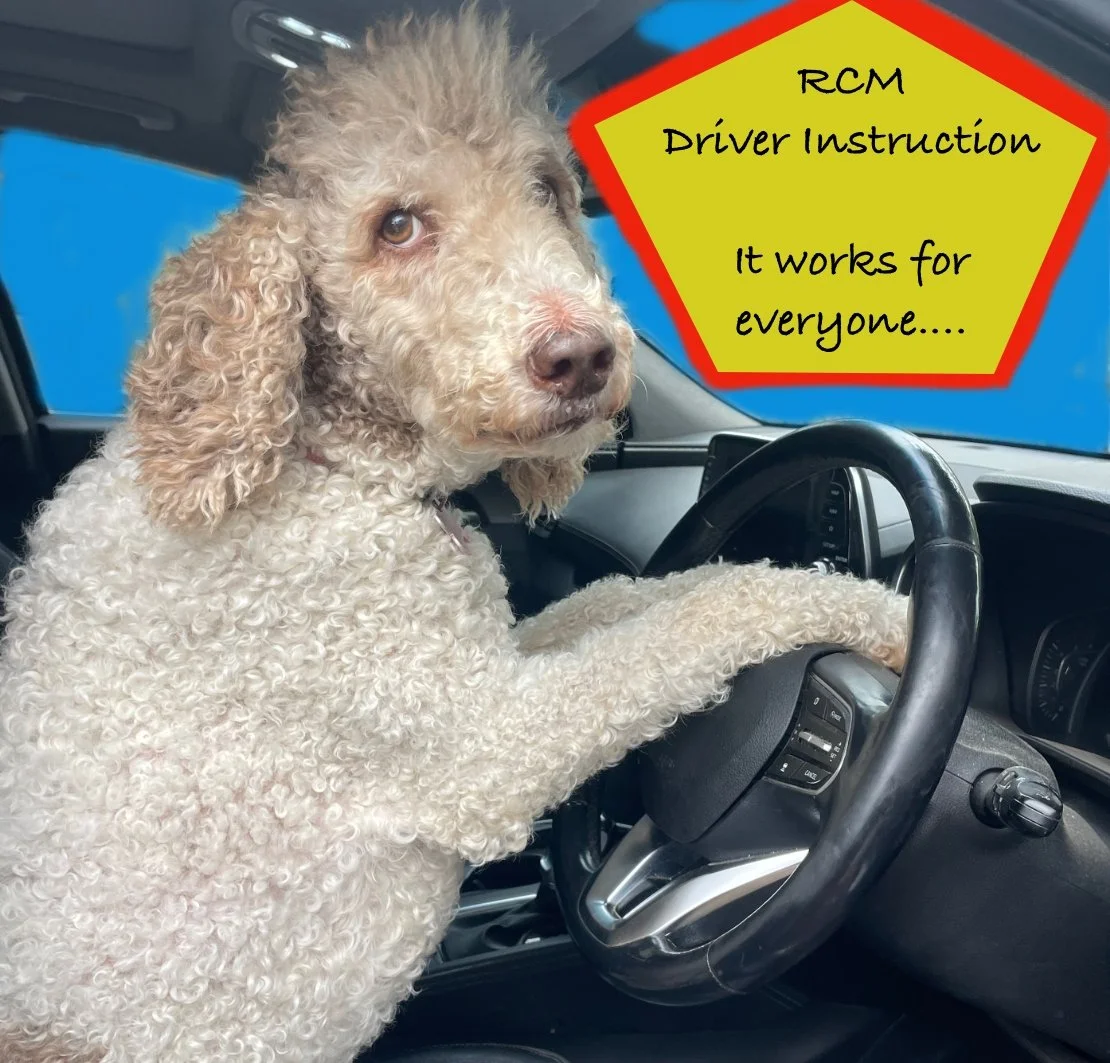 A dog sitting in the driver's seat of a vehicle, holding the steering wheel. There is a yellow sign with red border in the top right corner that reads, "RCM Driver Instruction It works for everyone....".