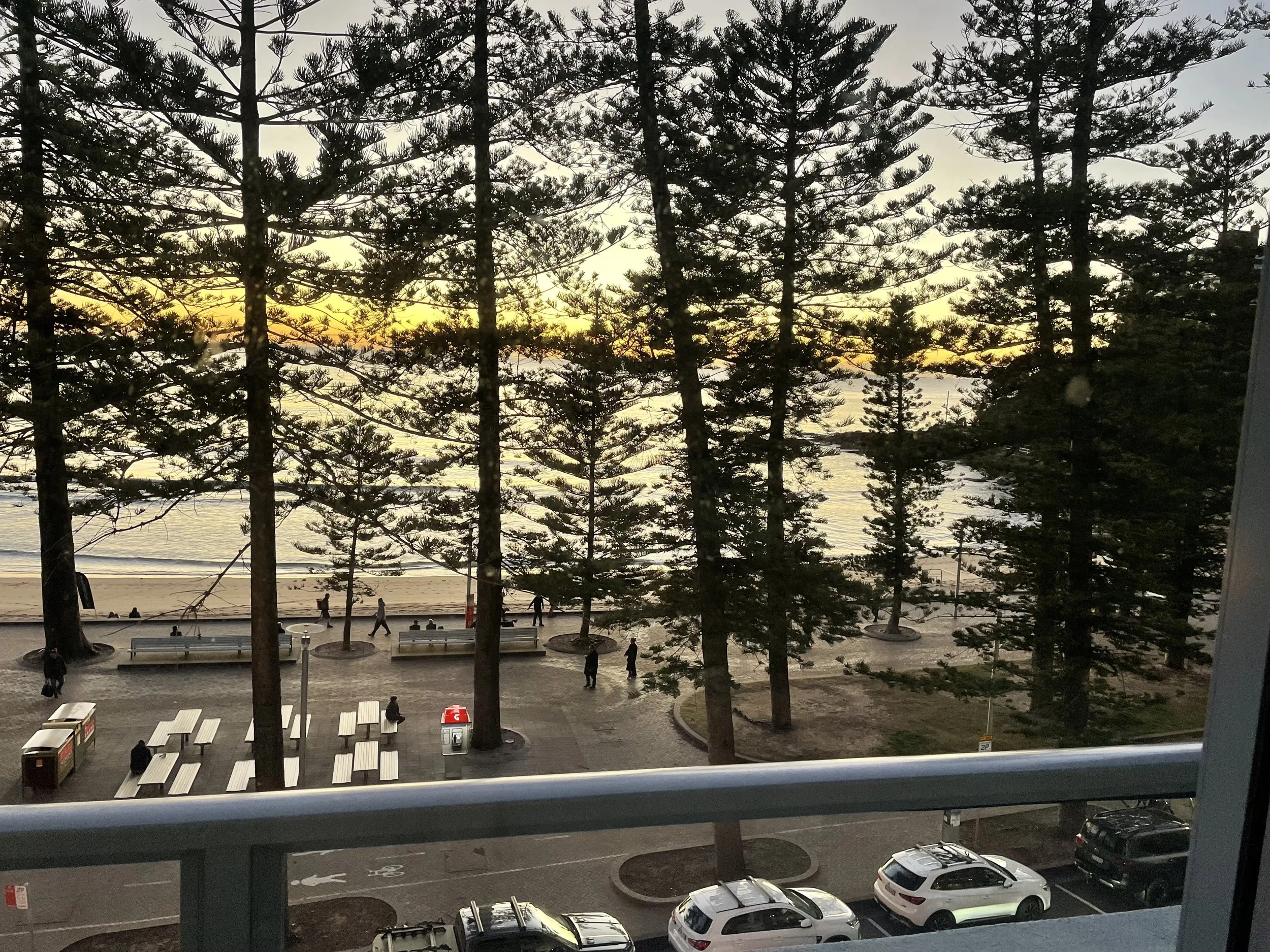 A view of a waterfront scene at sunset through tall trees with branches and leaves. In the foreground, there is a parking lot with several parked cars, benches, and trash bins. A few people are walking along the boardwalk near the beach.