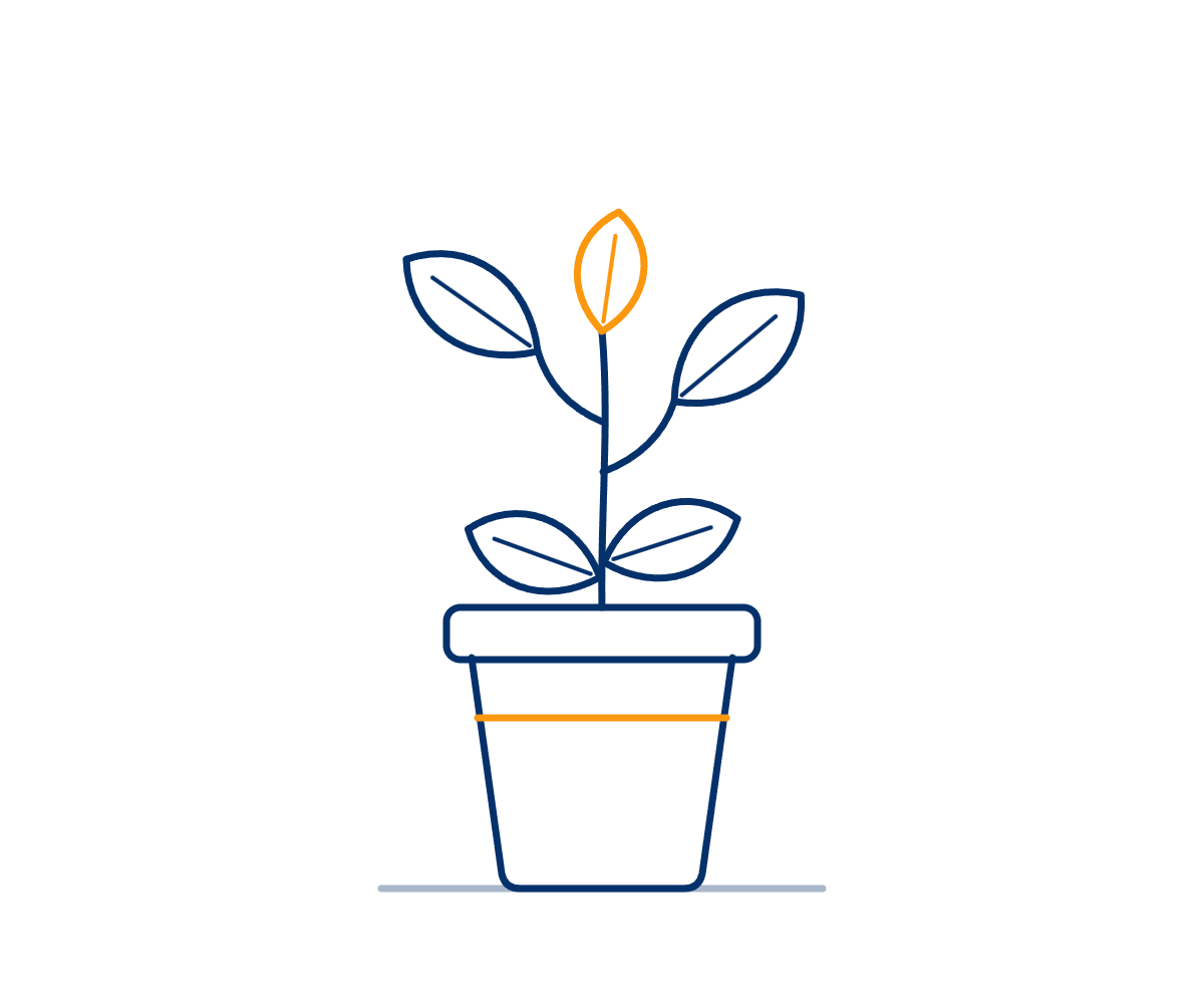 Line drawing of a young plant growing in a pot