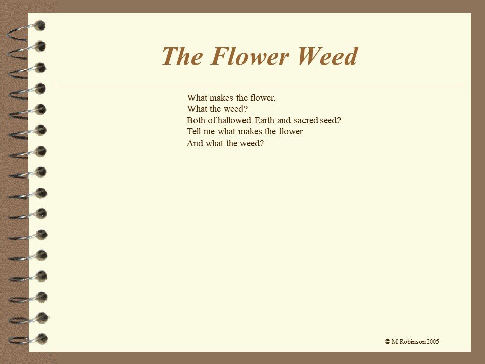 Slide55.JPG