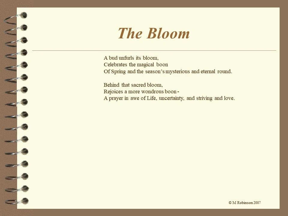 Slide32.JPG