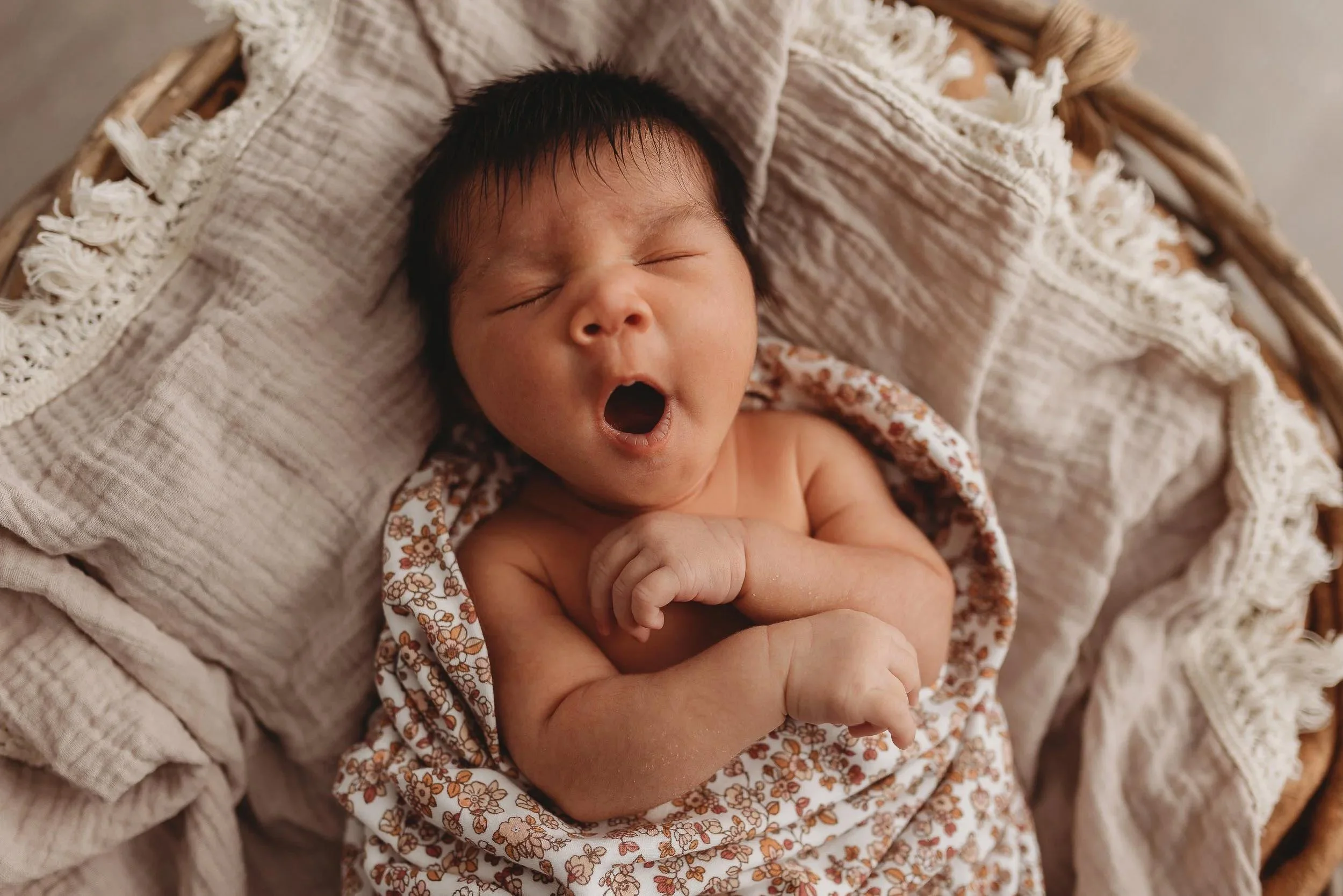 Expose Photography Hobart Tasmanian Photographer - #Families #Motherhood #maternity #newborns #weddings-50.jpg