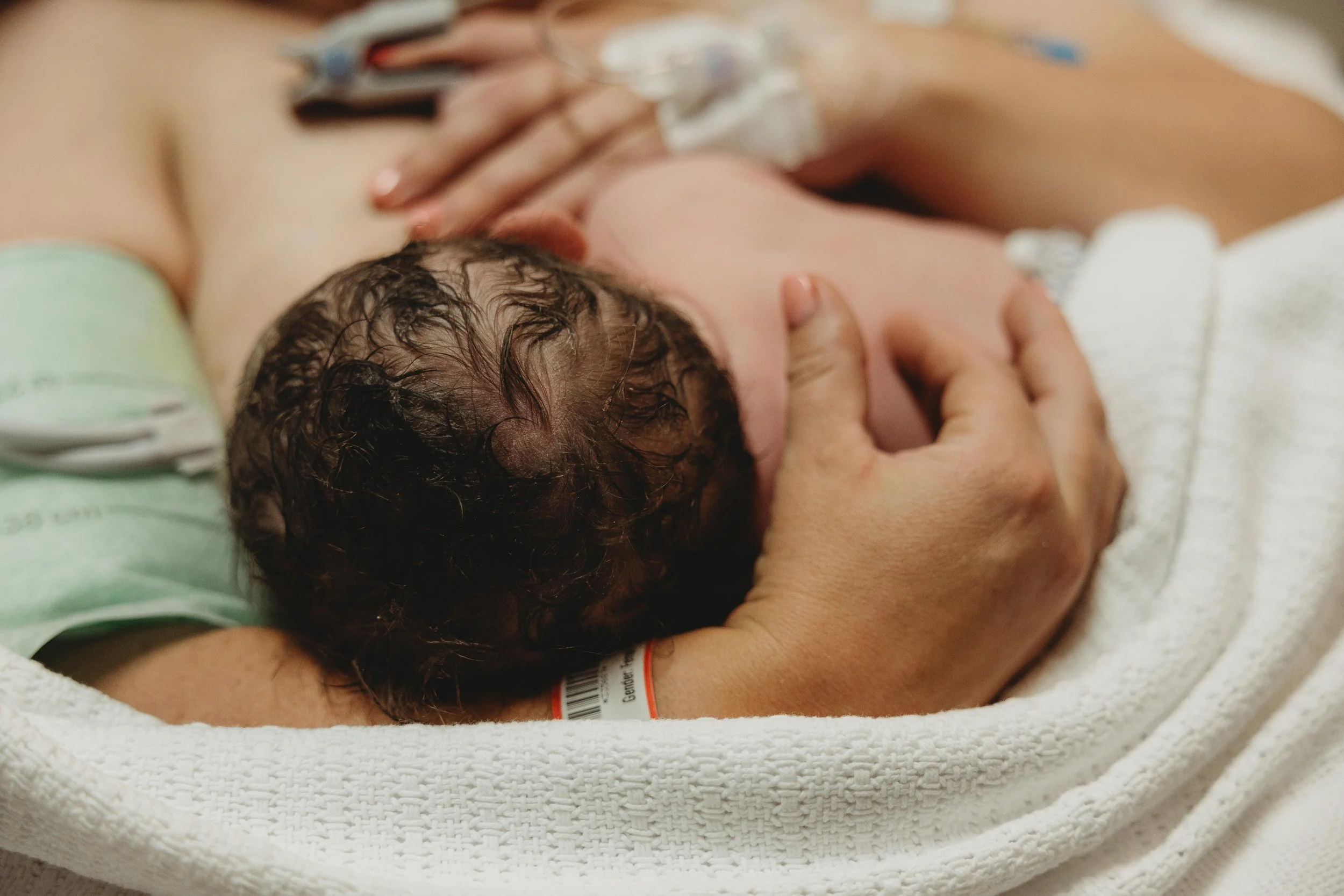 newborn baby straight after birth - close up of hair
