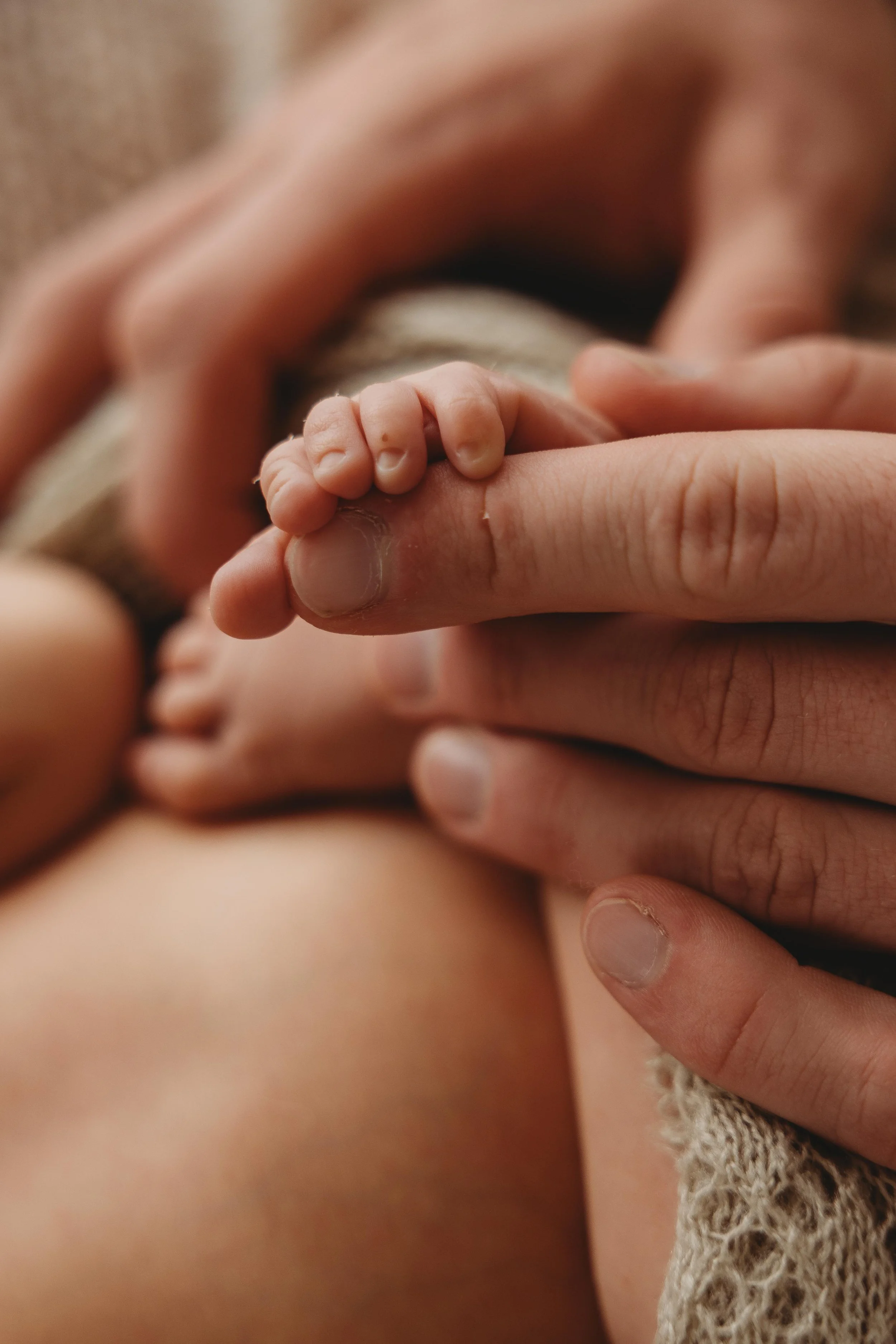 tiny baby toes in parents hand