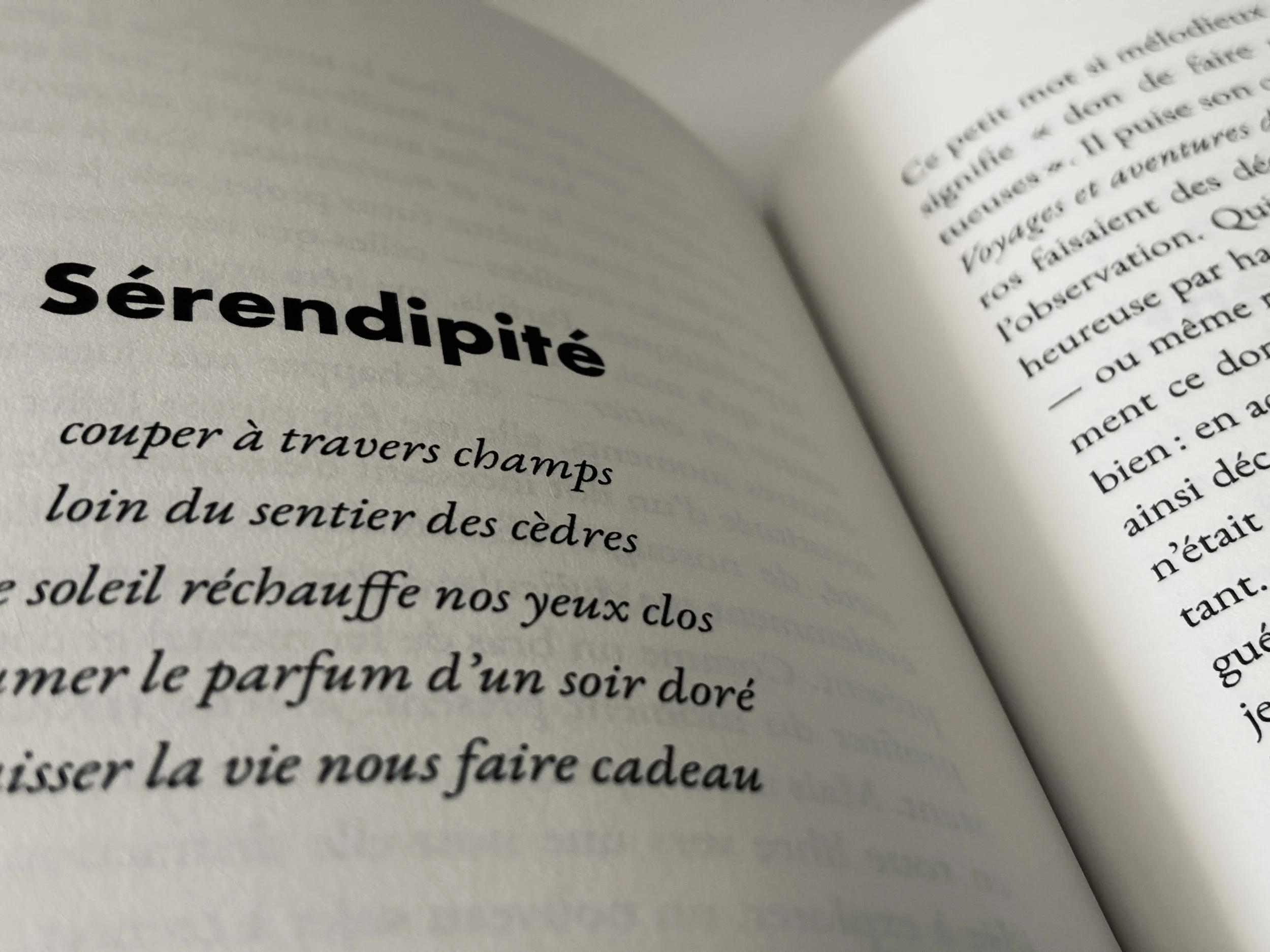 Un livre qui parle de connaissance de soi et du monde intérieur d'une personne hypersensible, intense et neuroatypique.