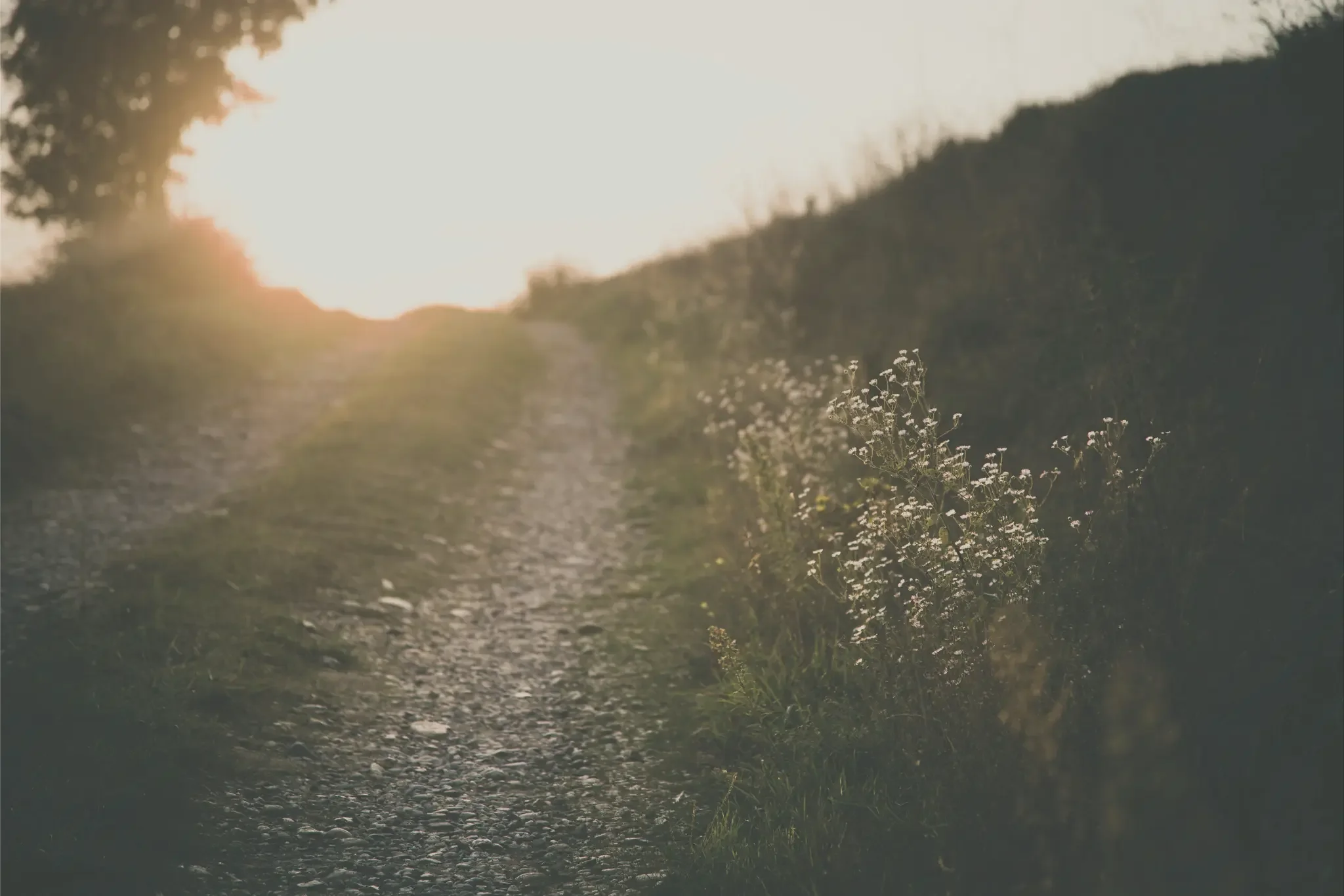 Pourquoi vivre semble parfois si difficile ?