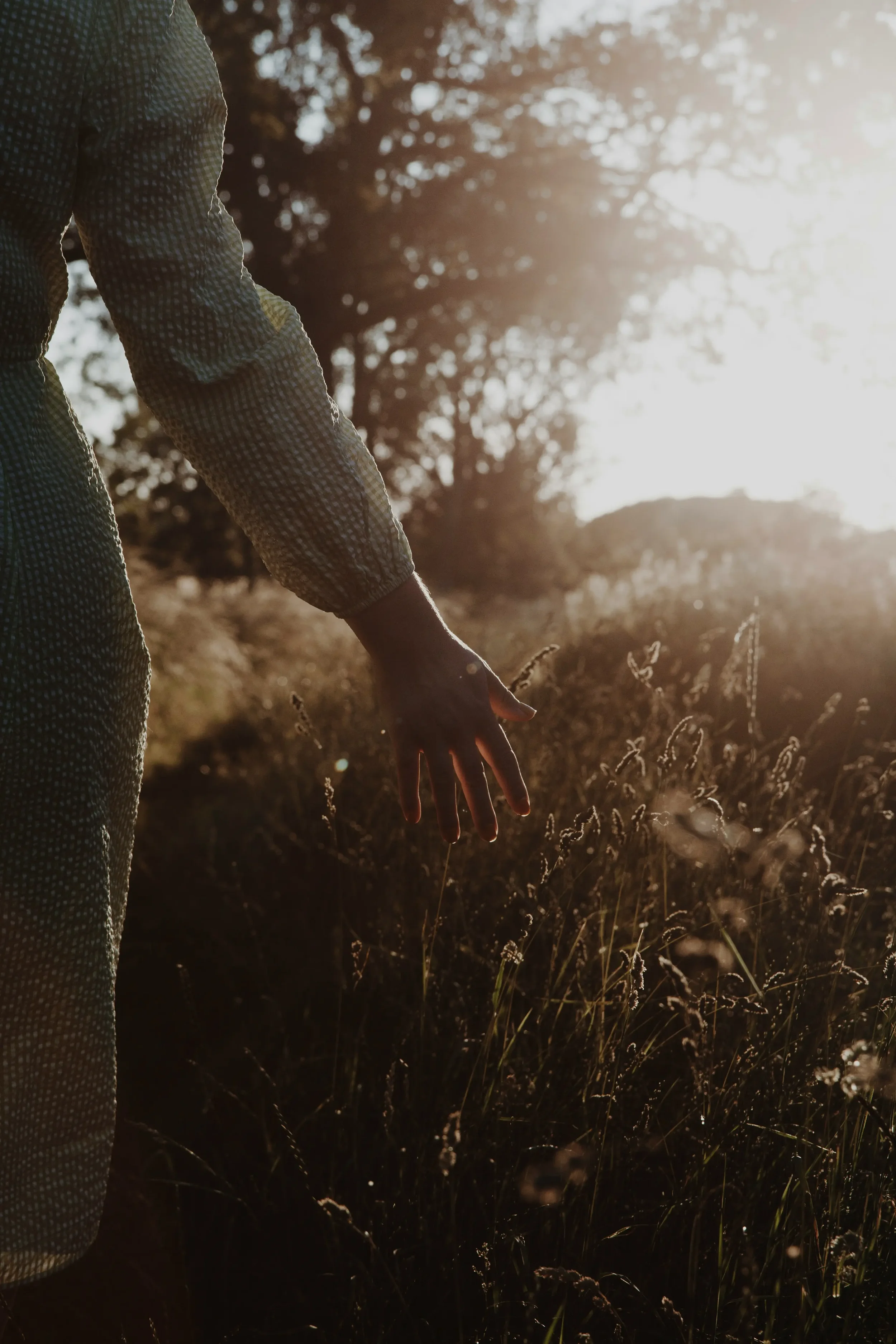Personne marchant dans un champ d’herbes hautes au coucher du soleil, main tendue dans la lumière dorée.