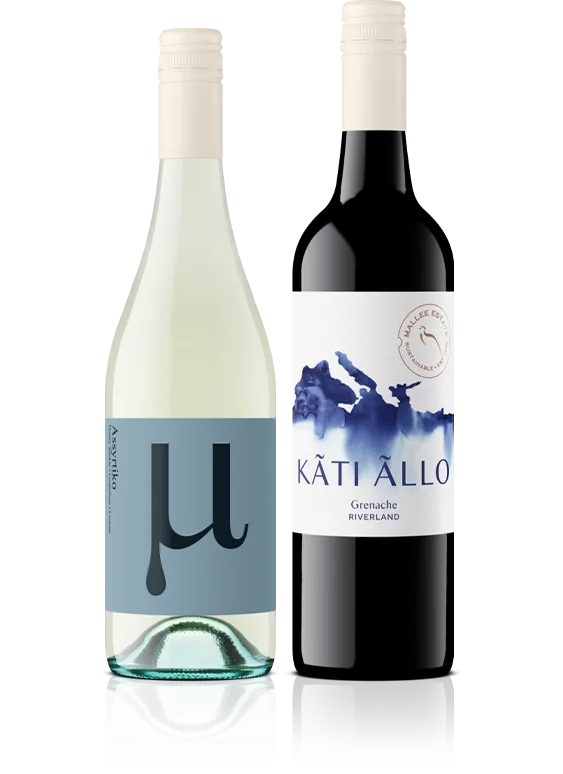 Two bottles of wine, one white with a gray label featuring a large Greek letter mu and the other red with a white label displaying a blue abstract map and the text 'Kāti Allo'.