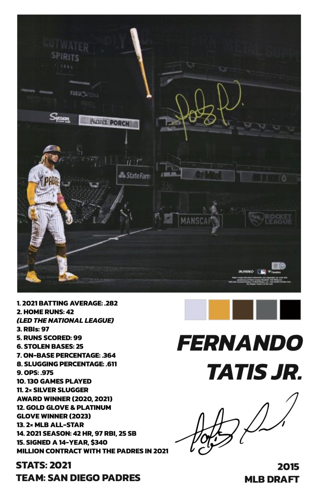 FERNANDO TATIS JR. - PRO BASEBALL PLAYER