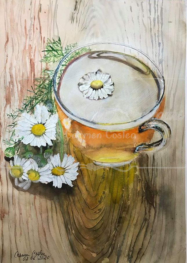 Camomilla Tea - watercolour - 40 x 57 cm .png