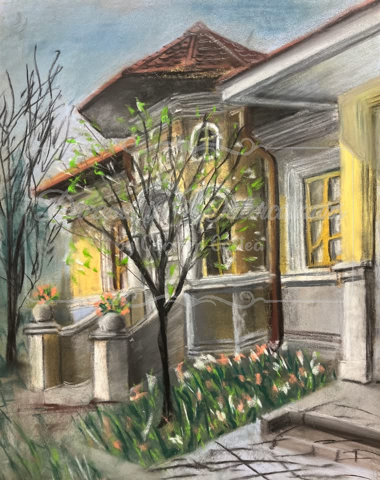 casa de la tara.png