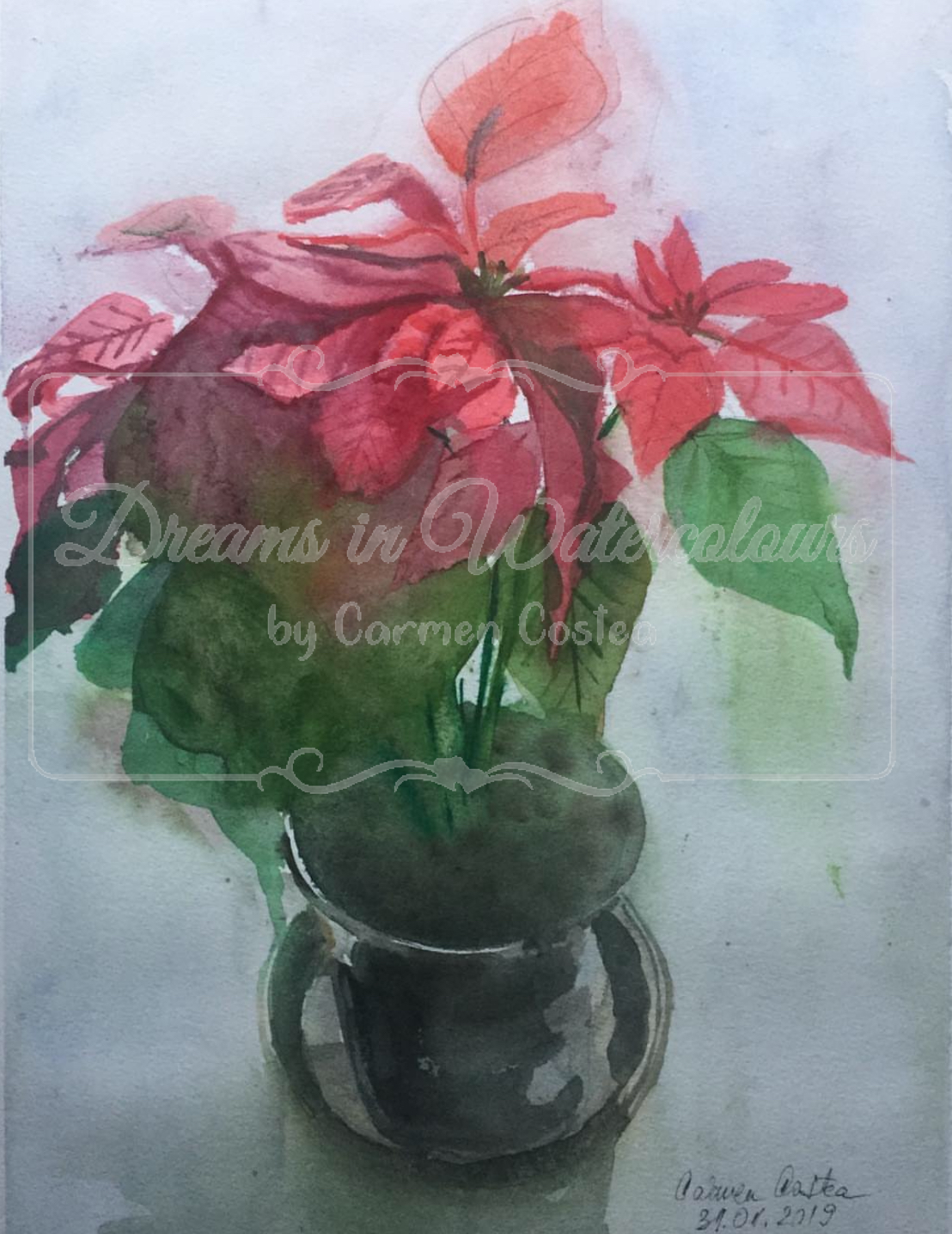 Poinsetia Boggo.png