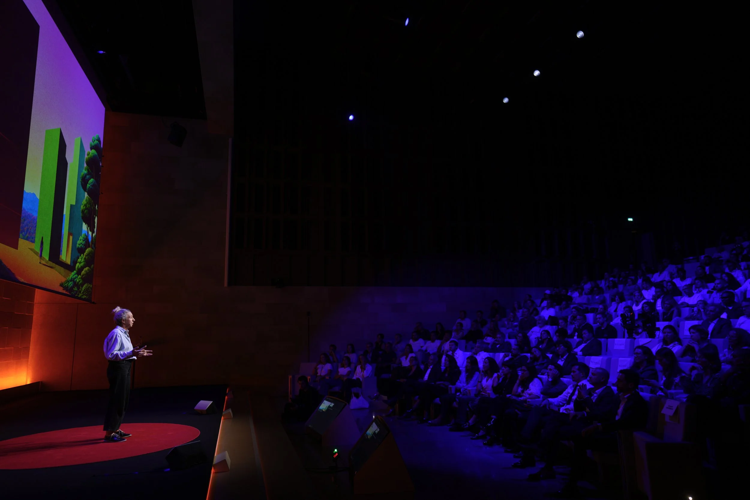 TEDxleboncoin_M.Vaillant53.jpg