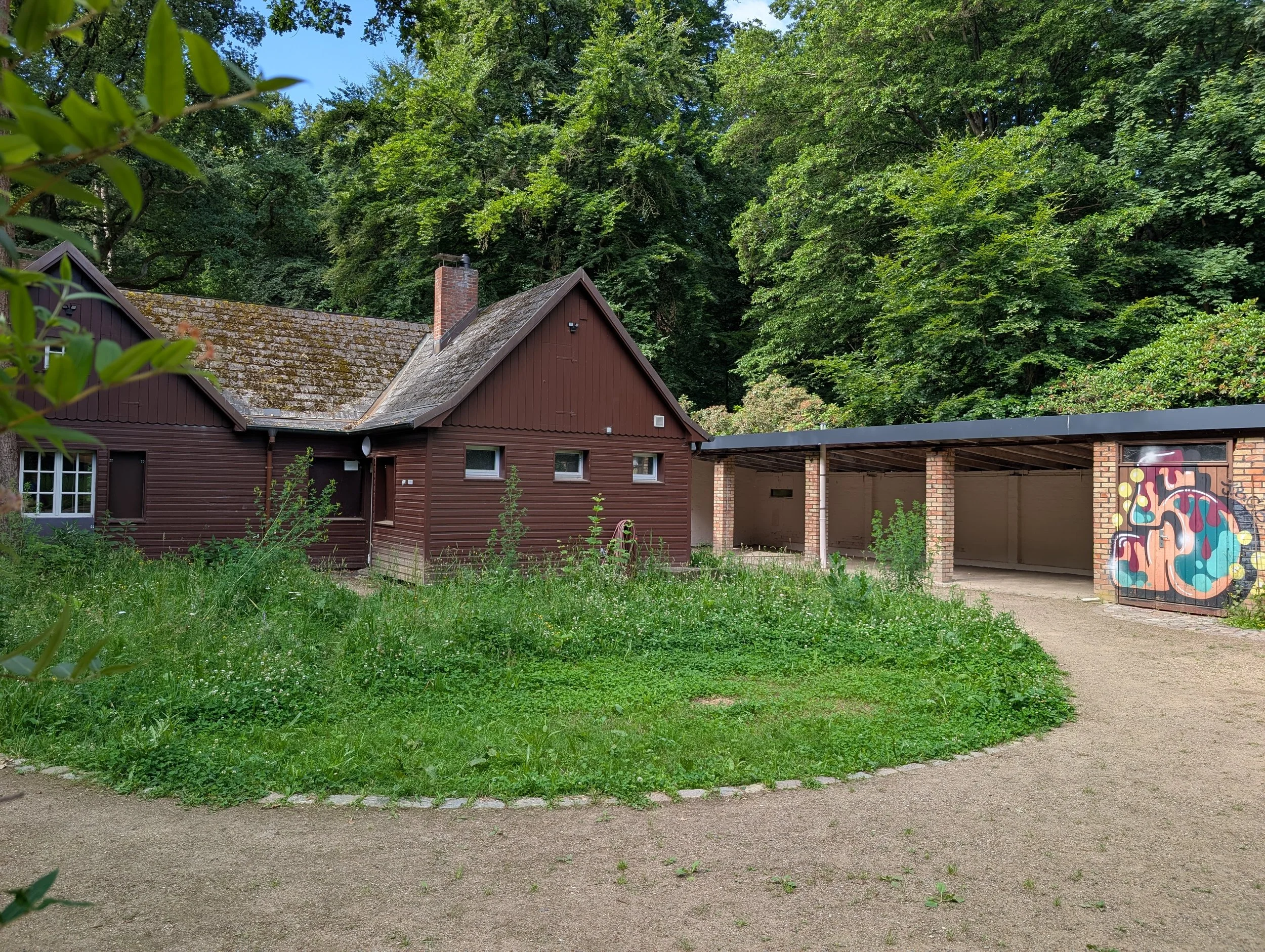 Fokussiert in den Tag - Vormittags-Retreat im Wald