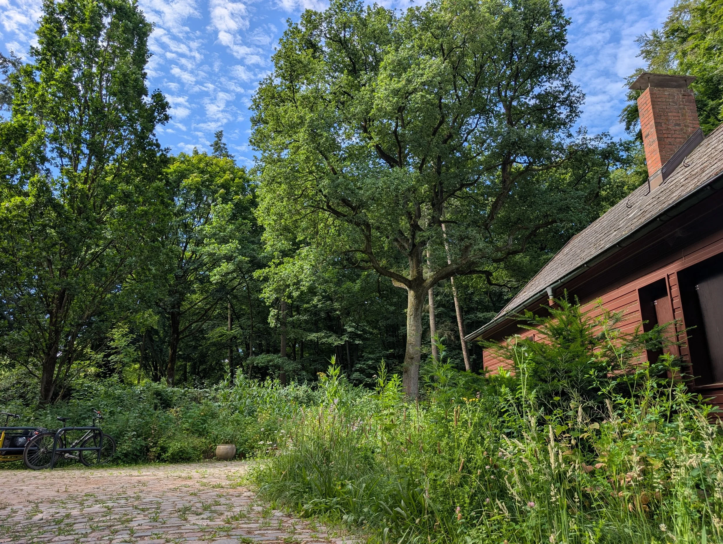 Kraftvoll im Moment sein - Ein Tag im Park