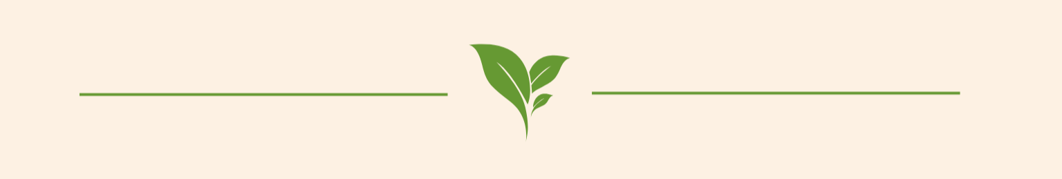 Green leaves graphic with horizontal lines on a light background.