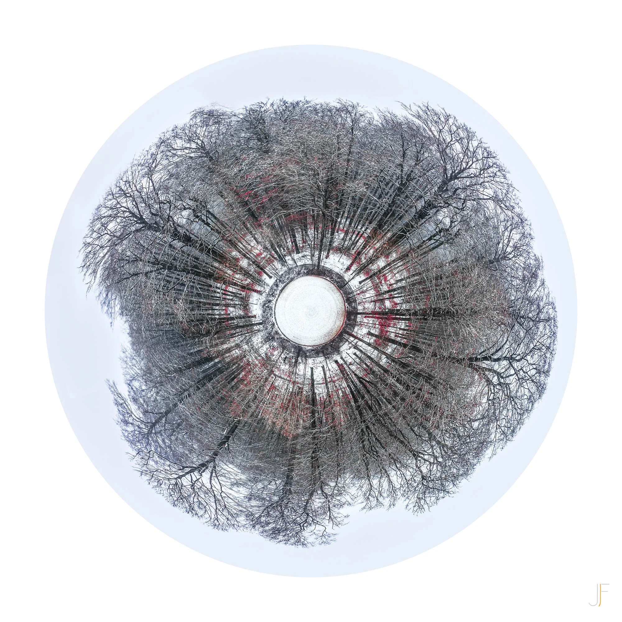 Iris2.jpg