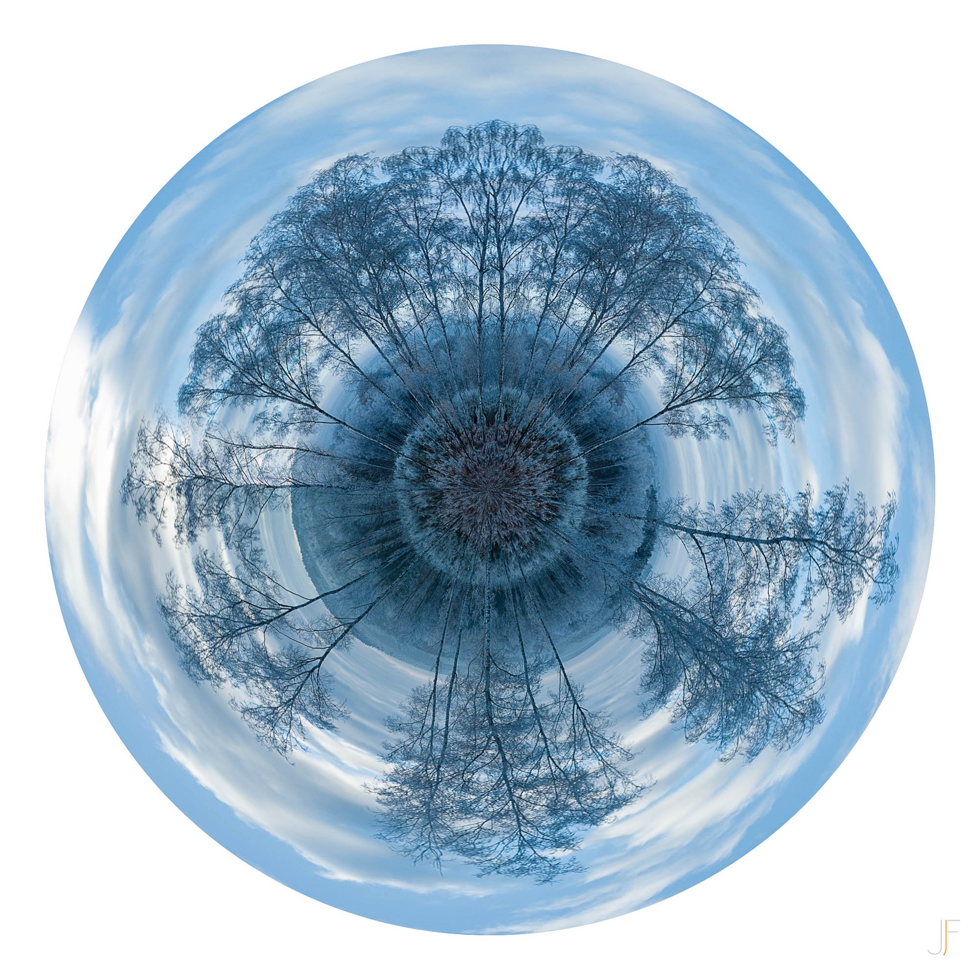 Iris-8.jpg