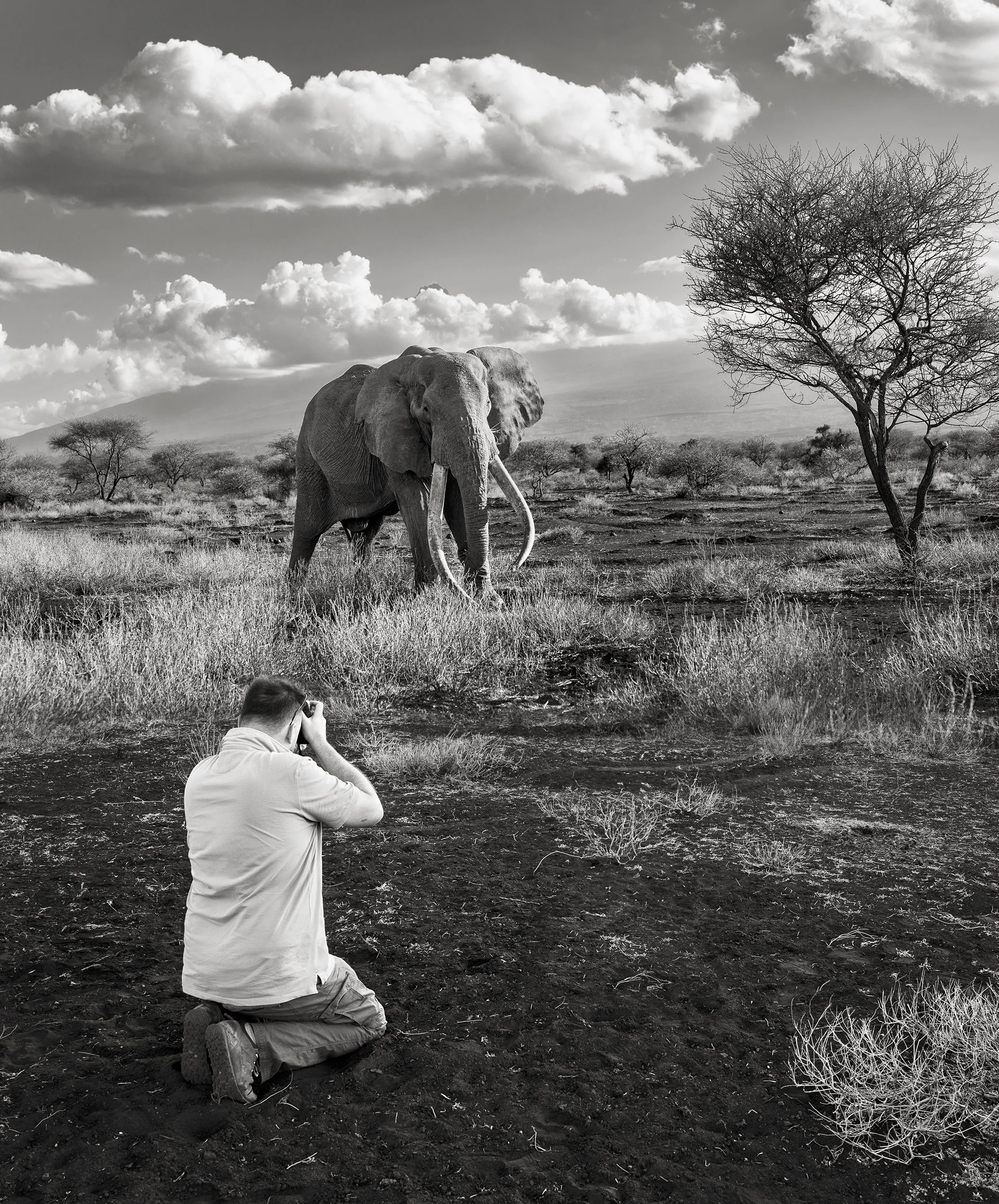 Un homme en position à genoux prend une photo d'un éléphant dans la savane, avec un arbre nu et des nuages dans le ciel en arrière-plan, en noir et blanc.