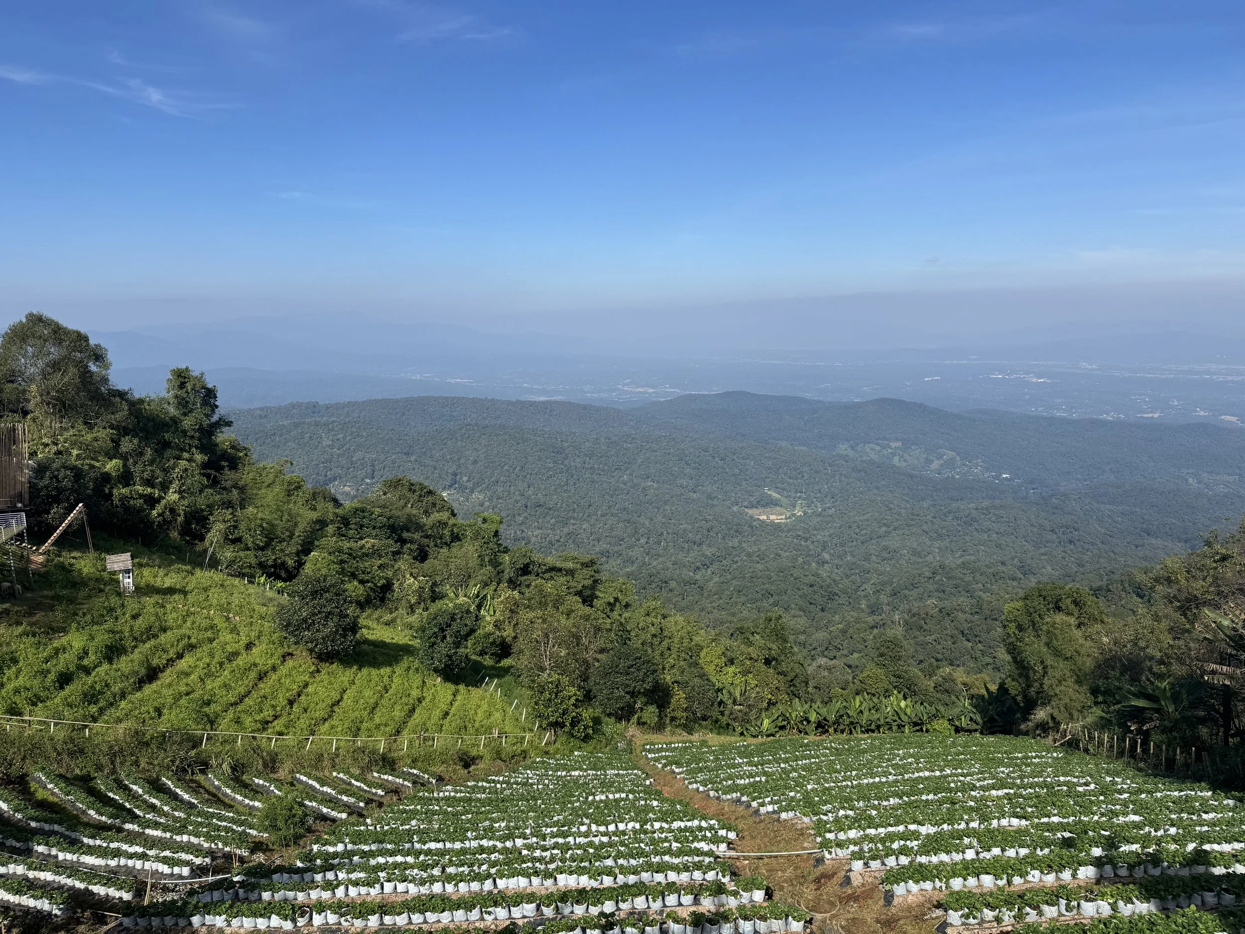 One Day in Mon Jam: Cafés, Viewpoints &amp; Hidden Gems
