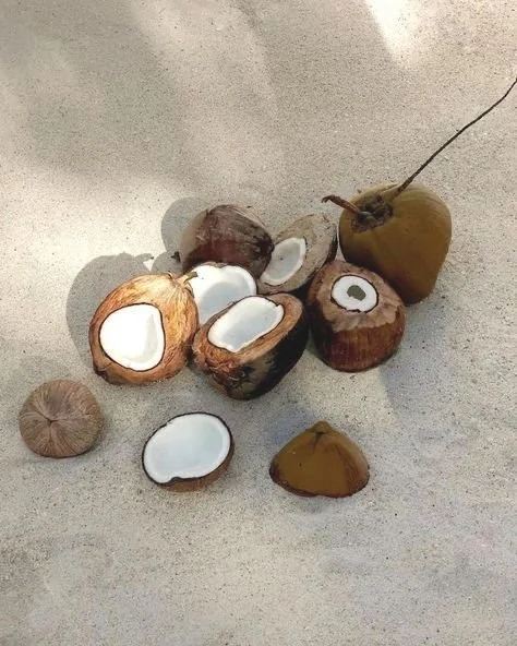 Coconuts on the sand — the tropical side of working with Maartje Wammes