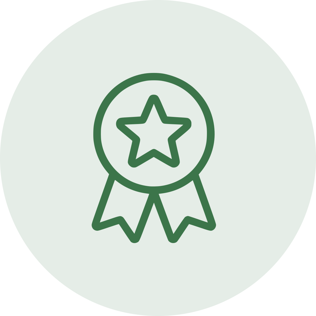 Line drawing of a medal with a star in the center and ribbons hanging below, outlined in dark green.