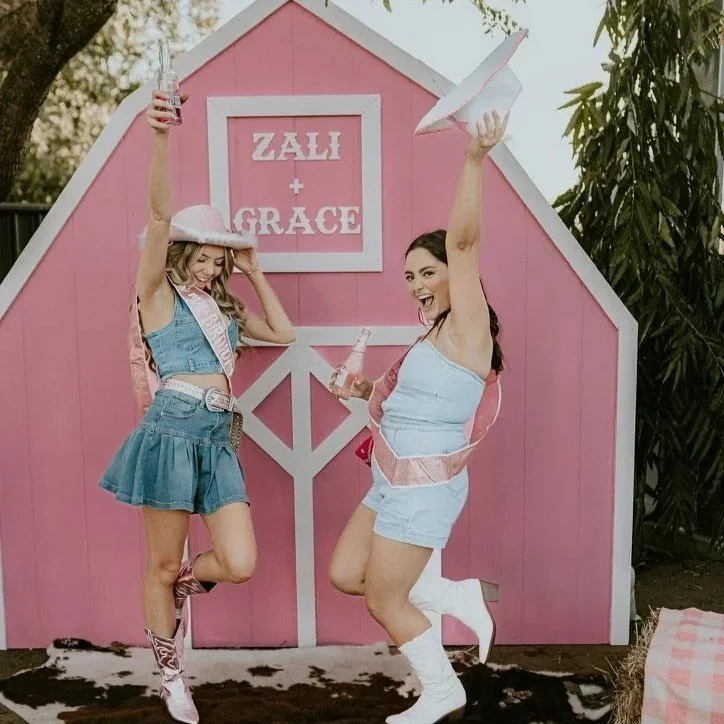 Barnyard Backdrop