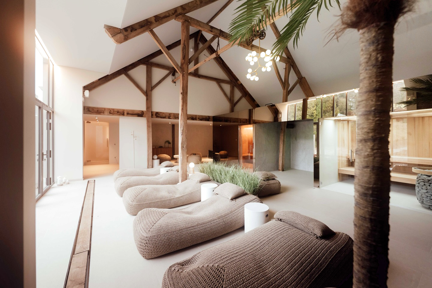 Intérieur moderne avec sièges arrondis en texture beige, plantes vertes, grandes fenêtres, structure en bois apparent, éclairage suspendu et ambiance chaleureuse.
