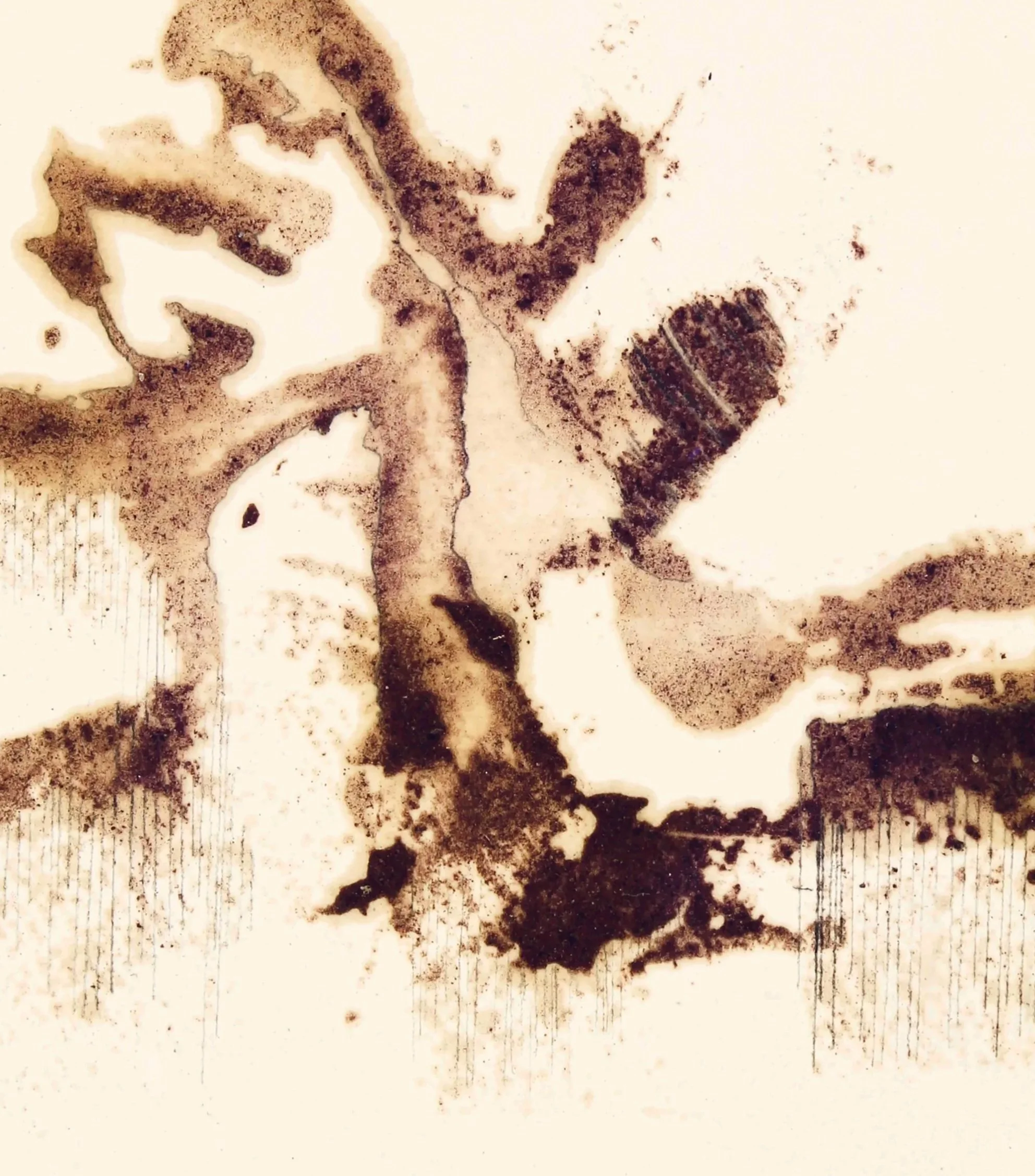 SGOUGH+To+Capture+Alive+%28Shakkei%29+2+++2024%C2%A0detail1.jpg