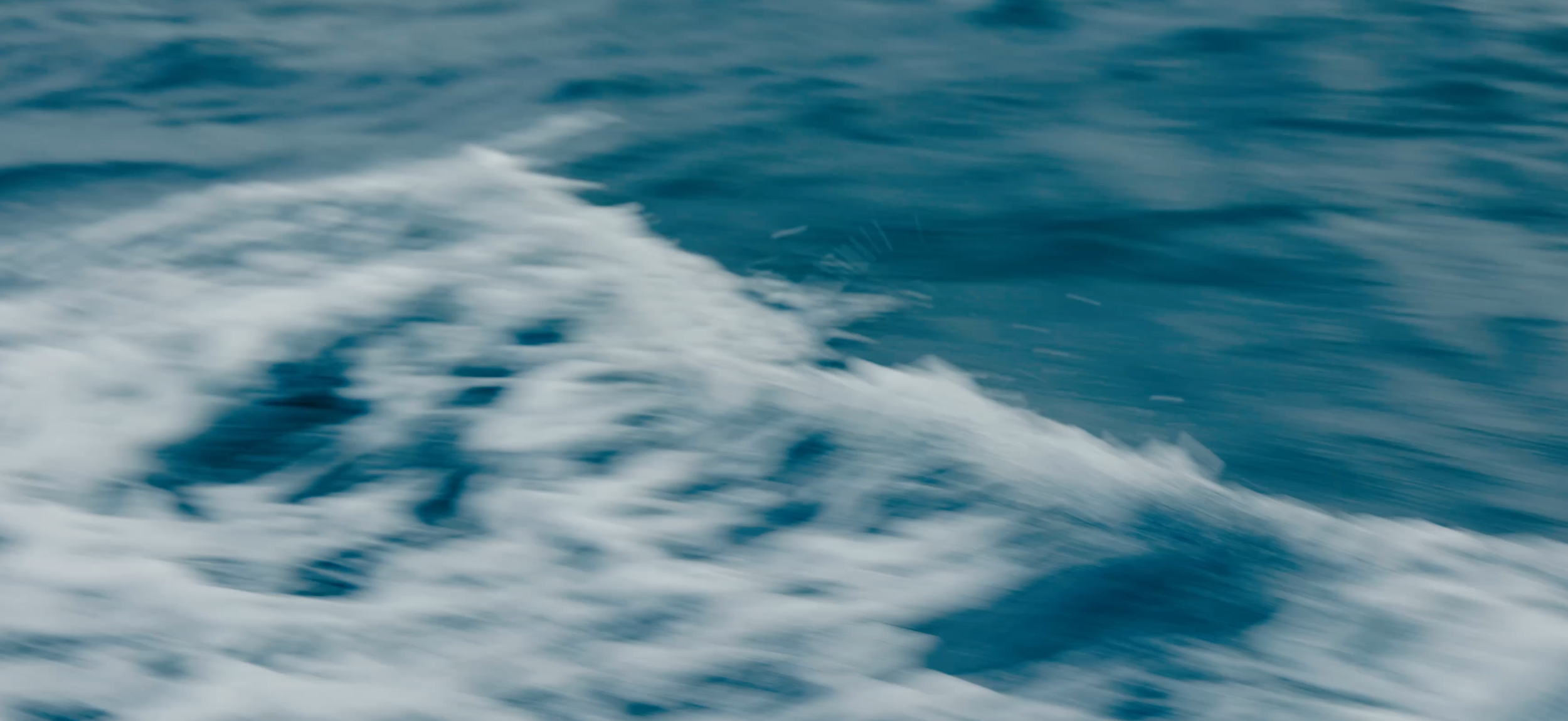 IMG_6523.PNG