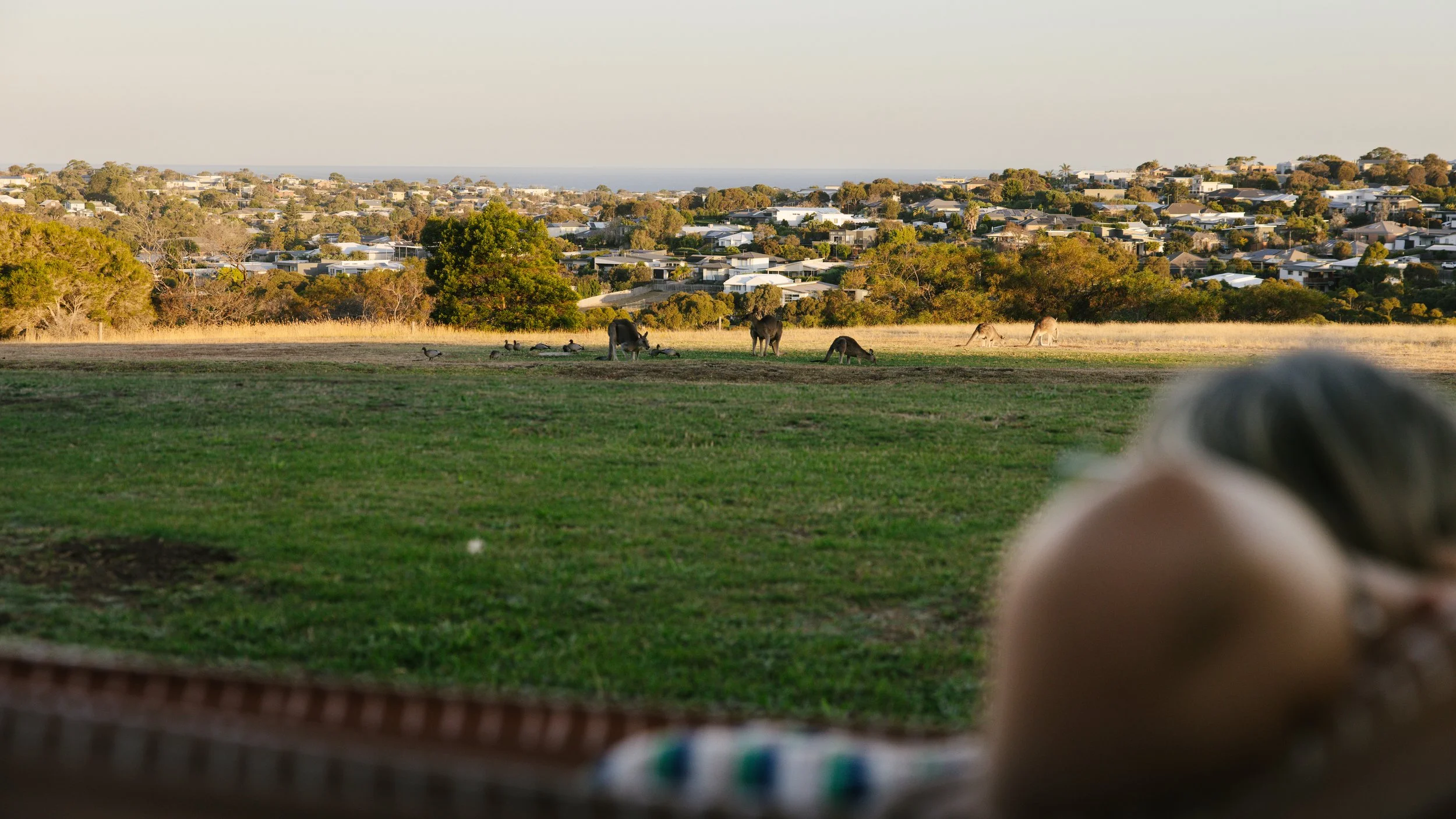 AirBnb_Torquay_20.jpg