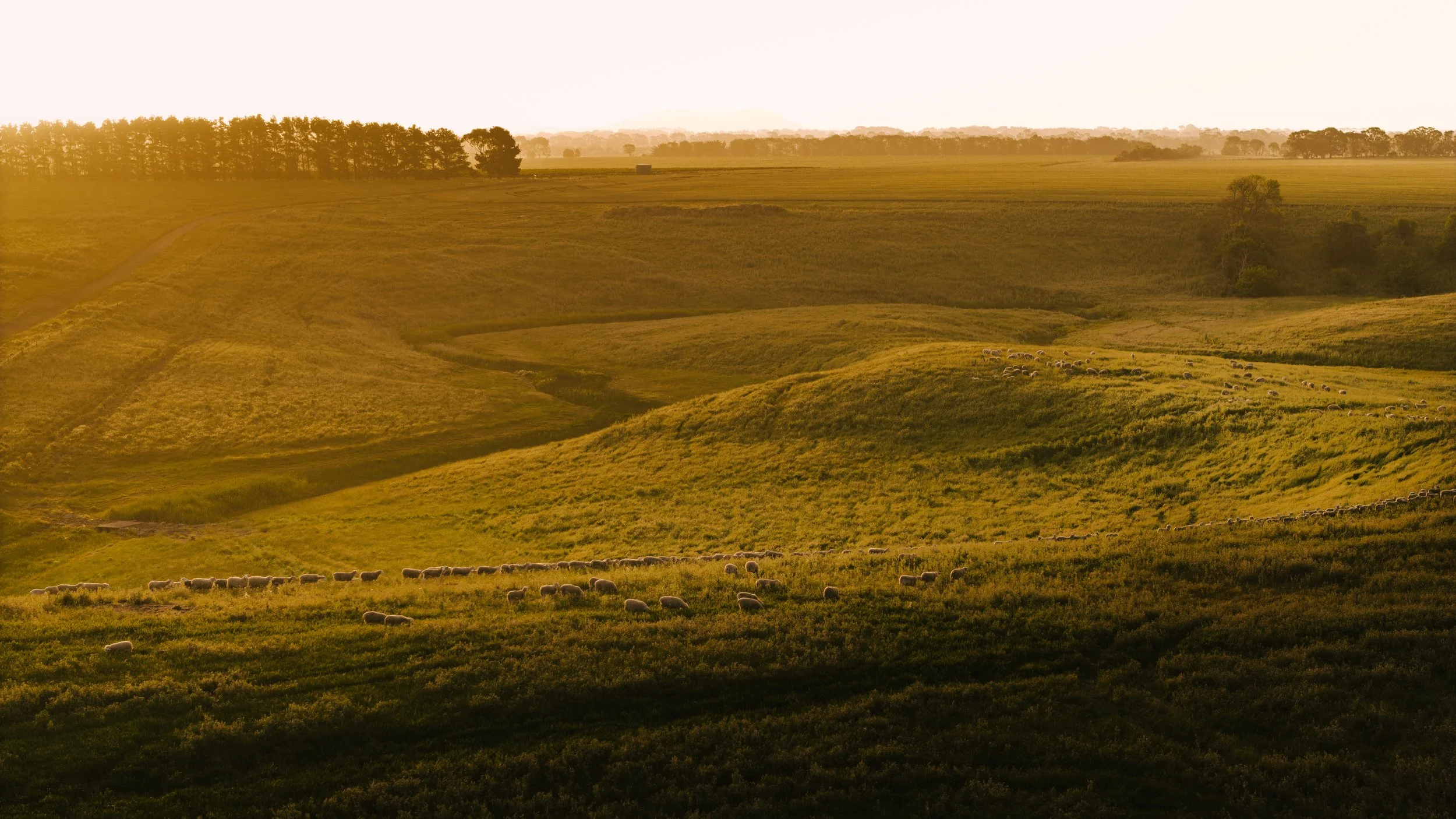 DJI_20251205191239_0395_D.jpg