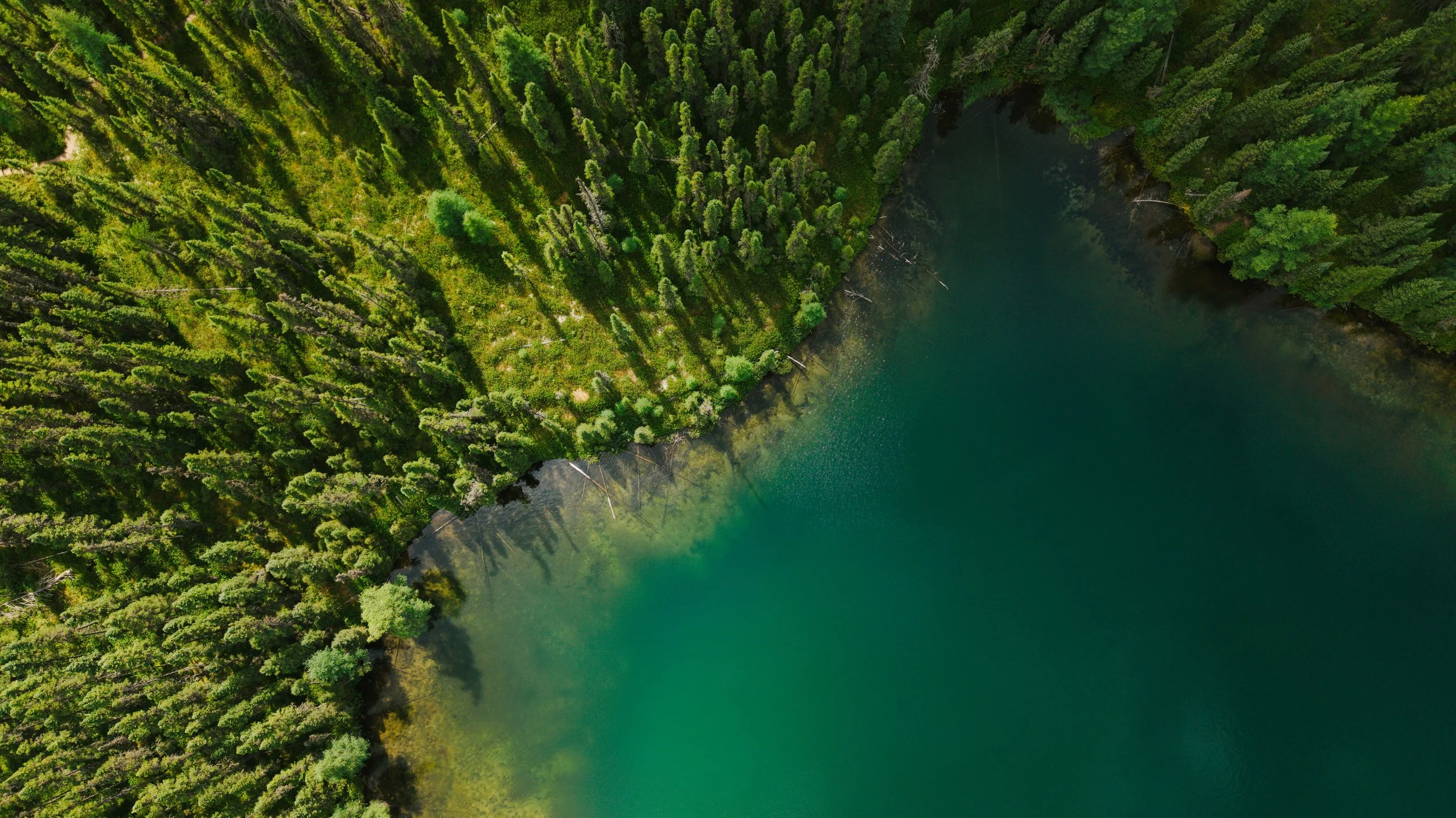 DJI_20250809133342_0054_D.jpg