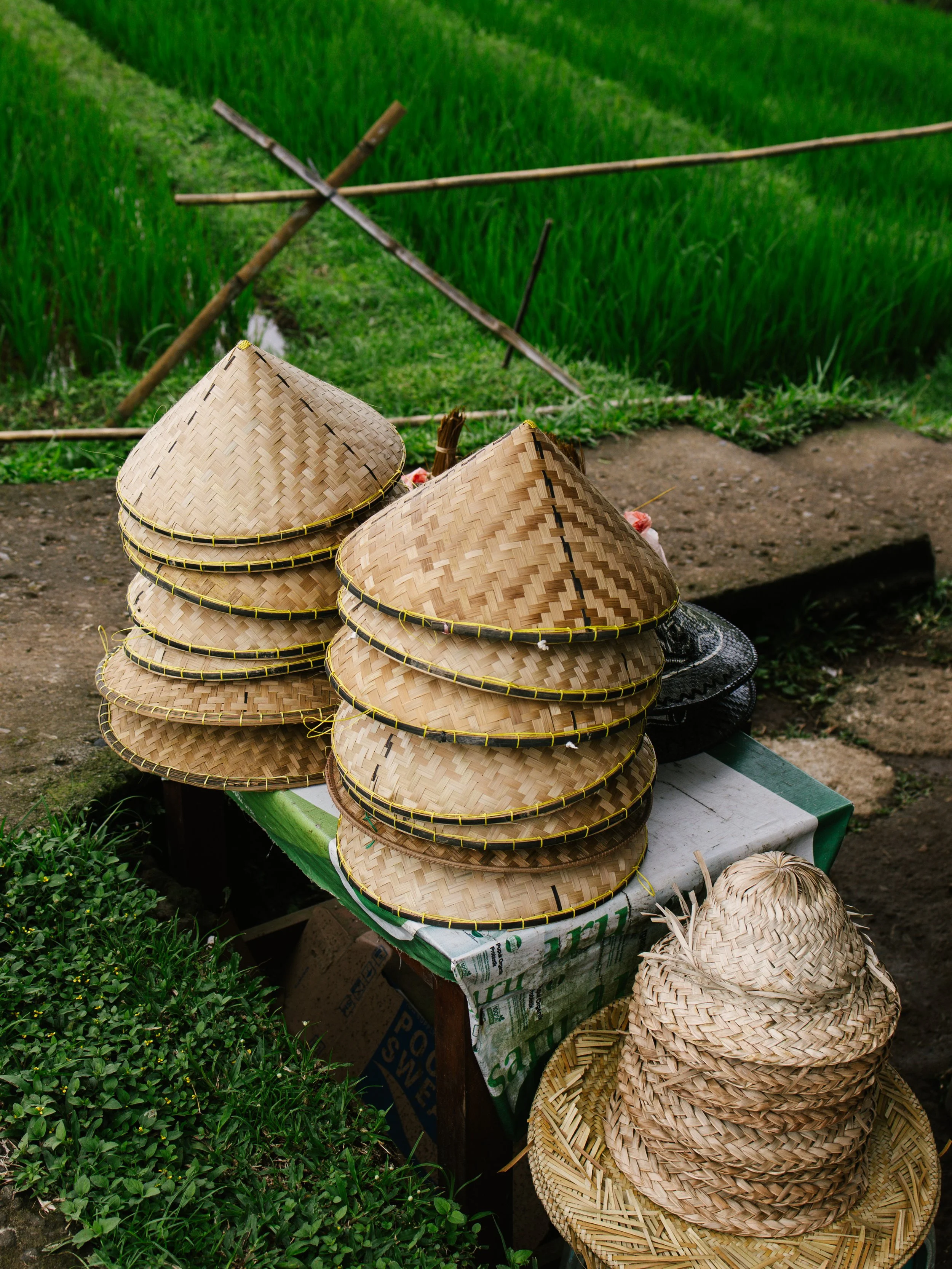 Jatiluwih_10.jpg
