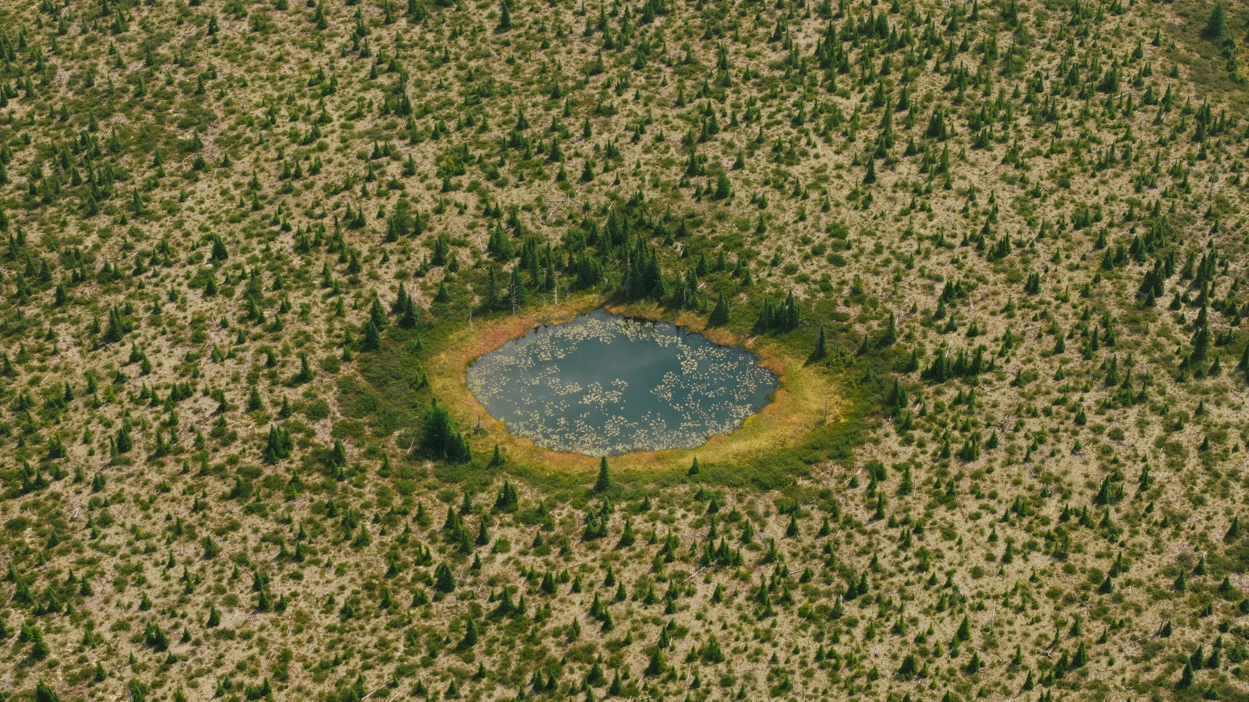 DJI_20250809115135_0011_D.jpg