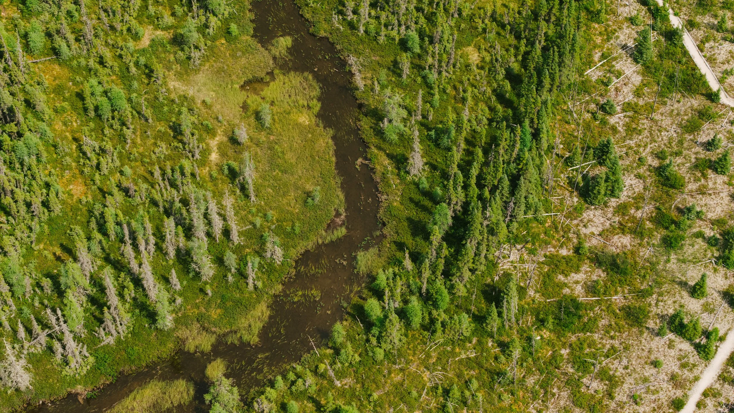 DJI_20250809115432_0020_D.jpg