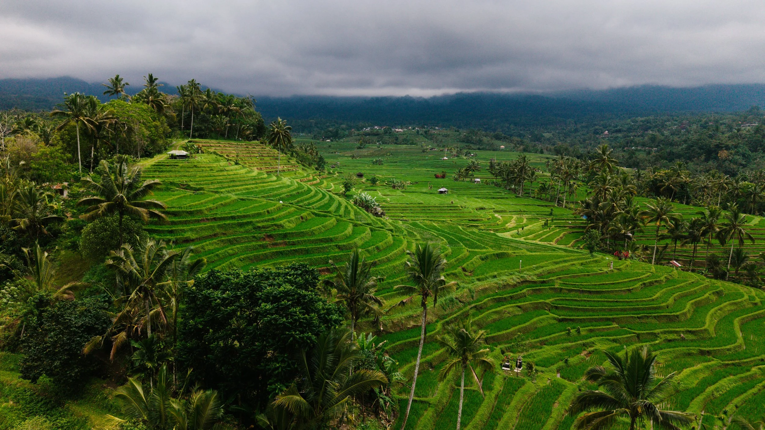 Jatiluwih_54.jpg