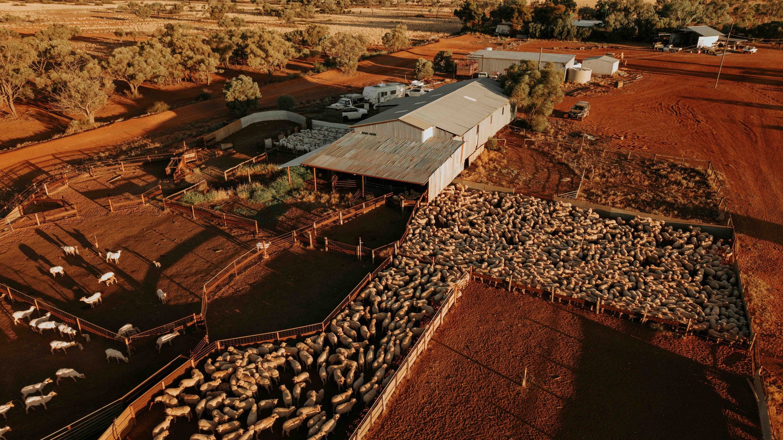 DJI_20260429172555_0377_D.jpg