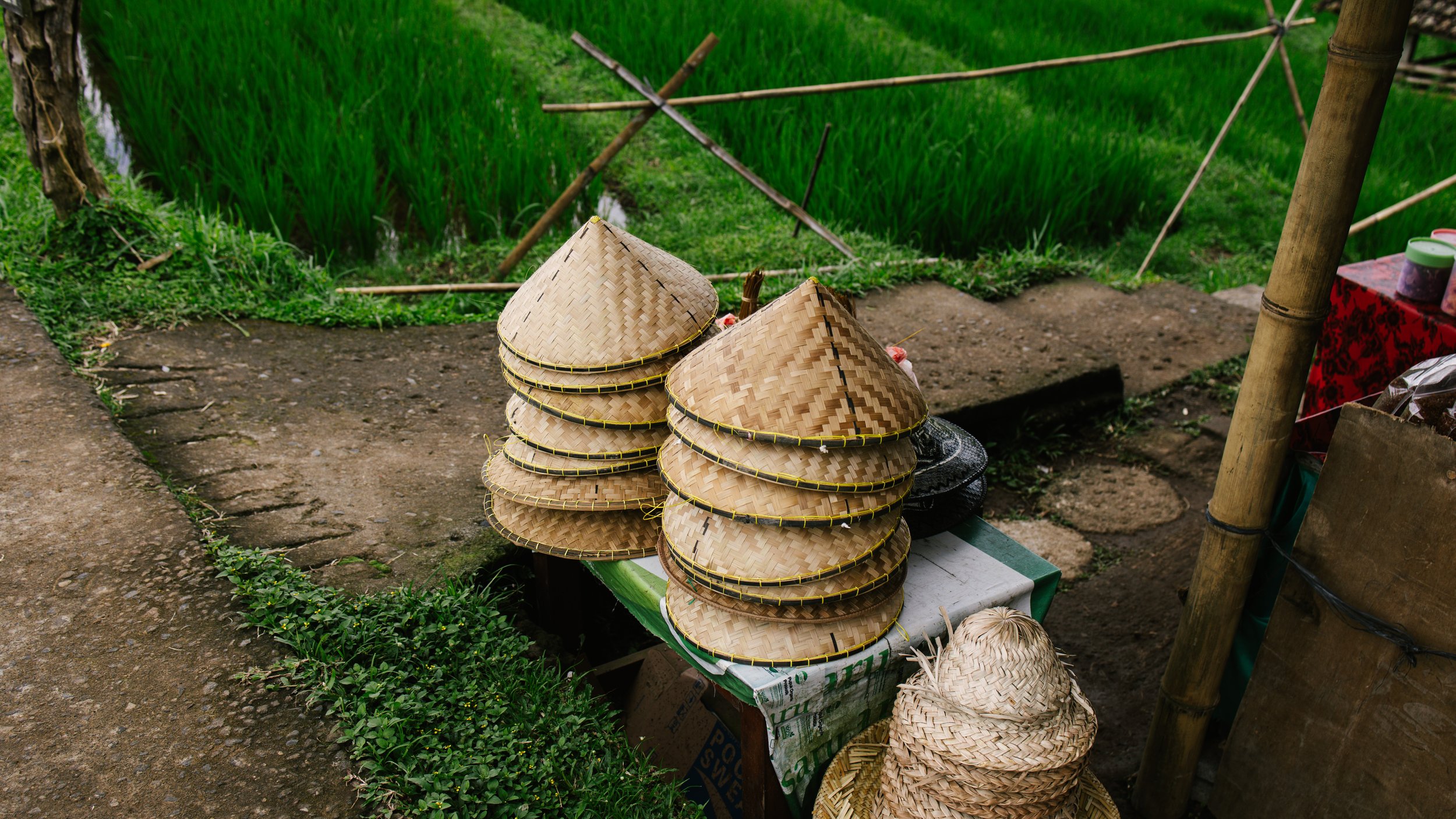 Bali