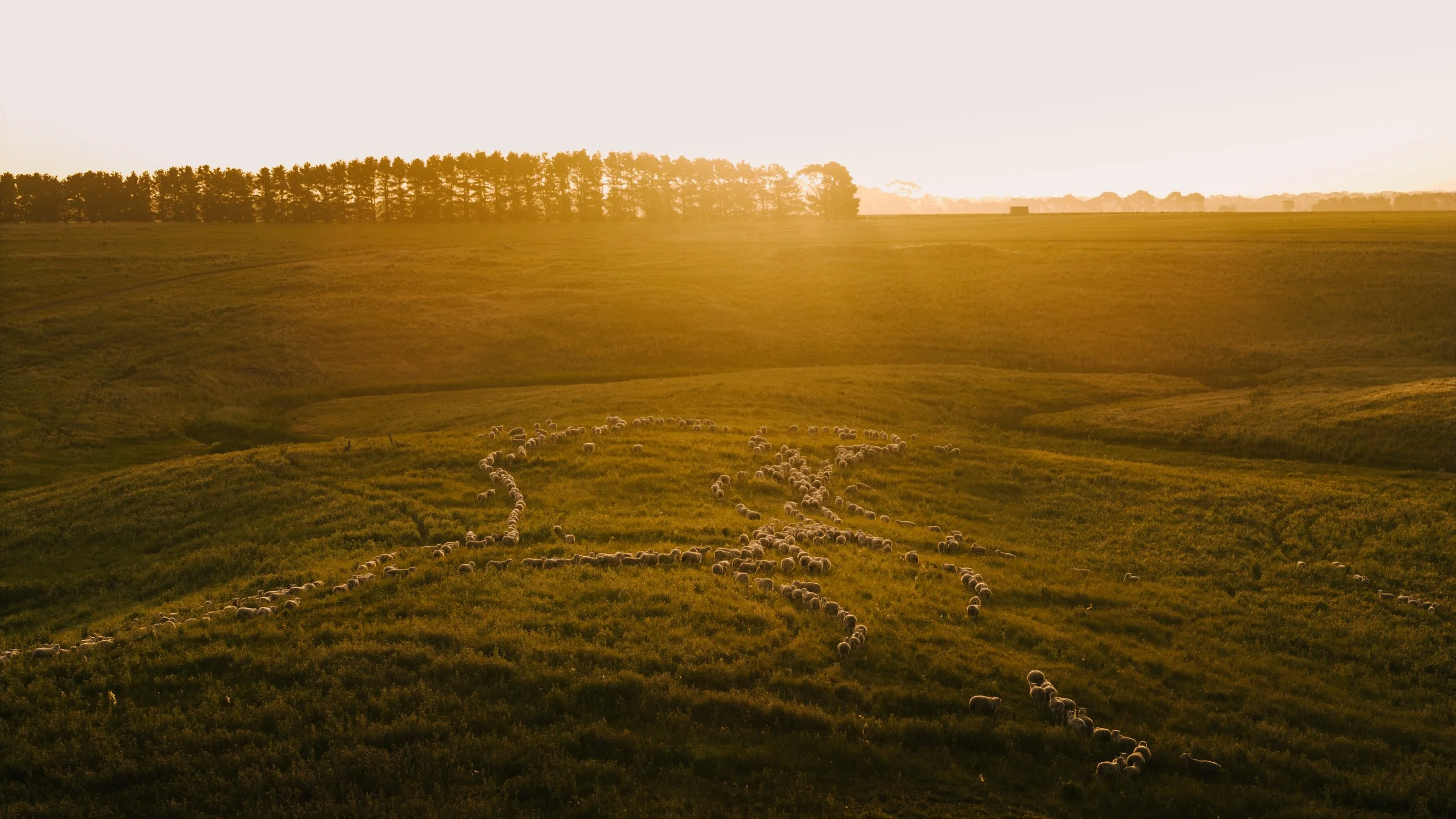 DJI_20251205191646_0405_D.jpg