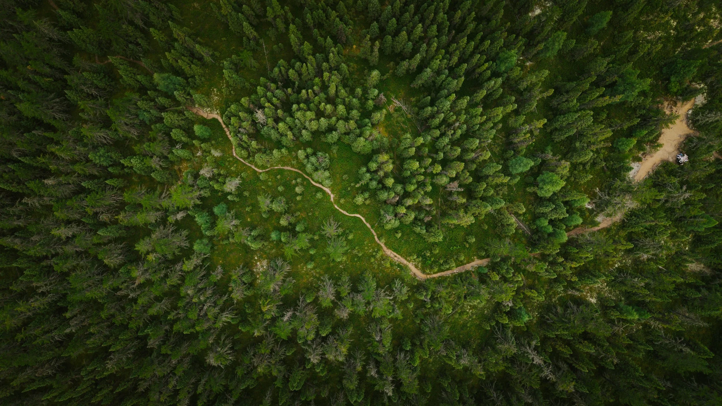 DJI_20250809133050_0043_D.jpg