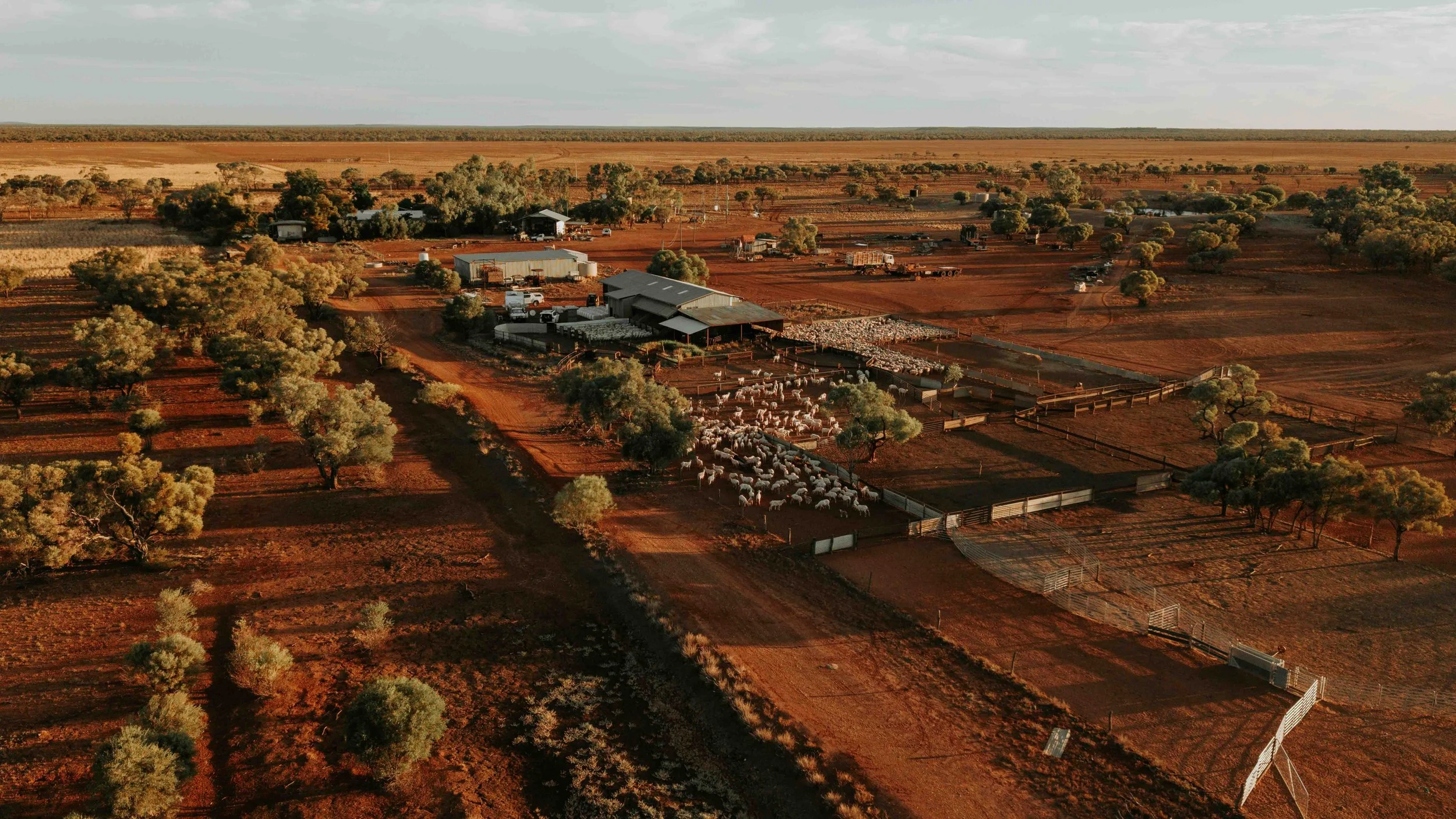 DJI_20260429172858_0387_D.jpg