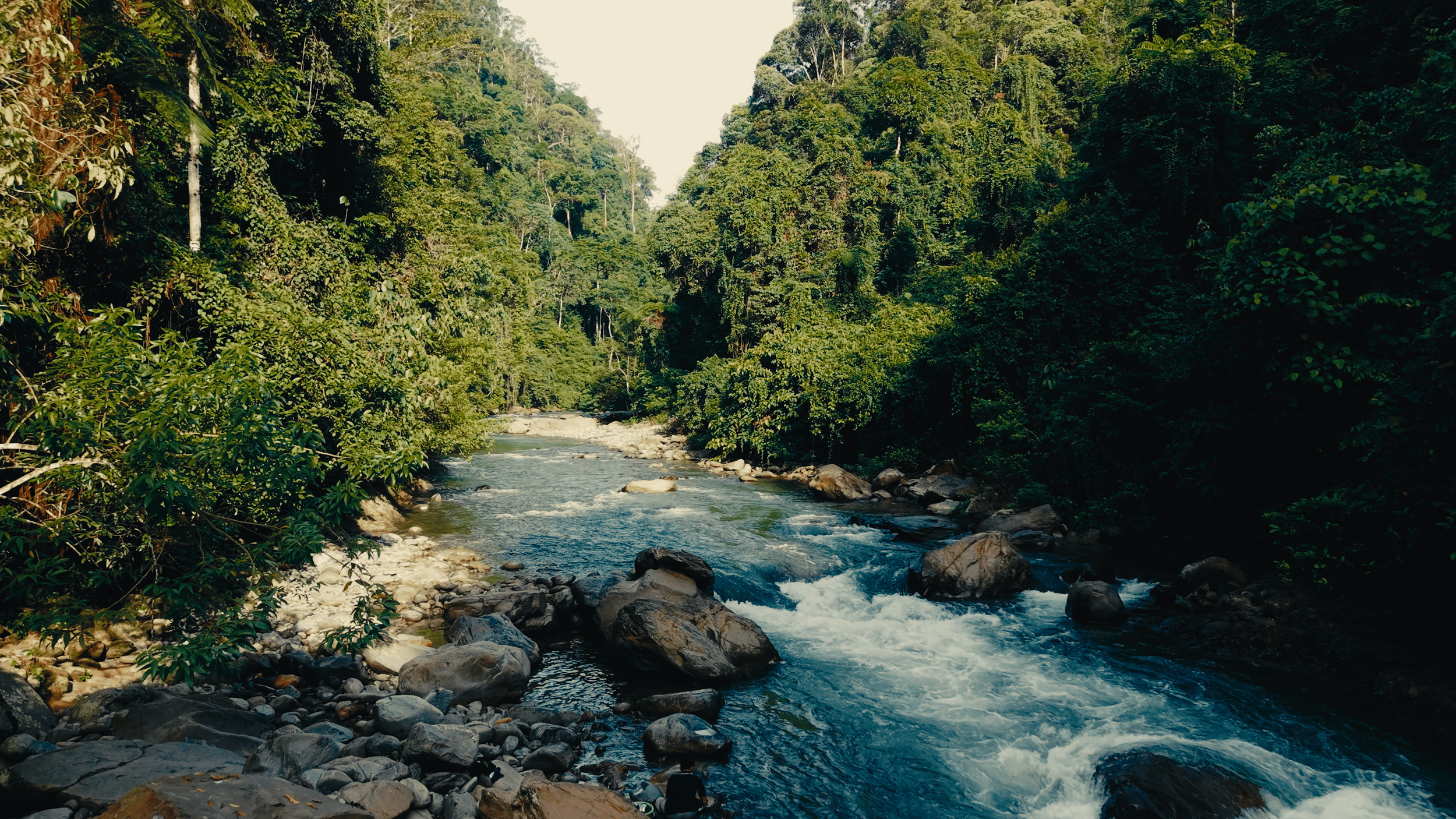 Image 2026-10-21 184759_1.8.1.png