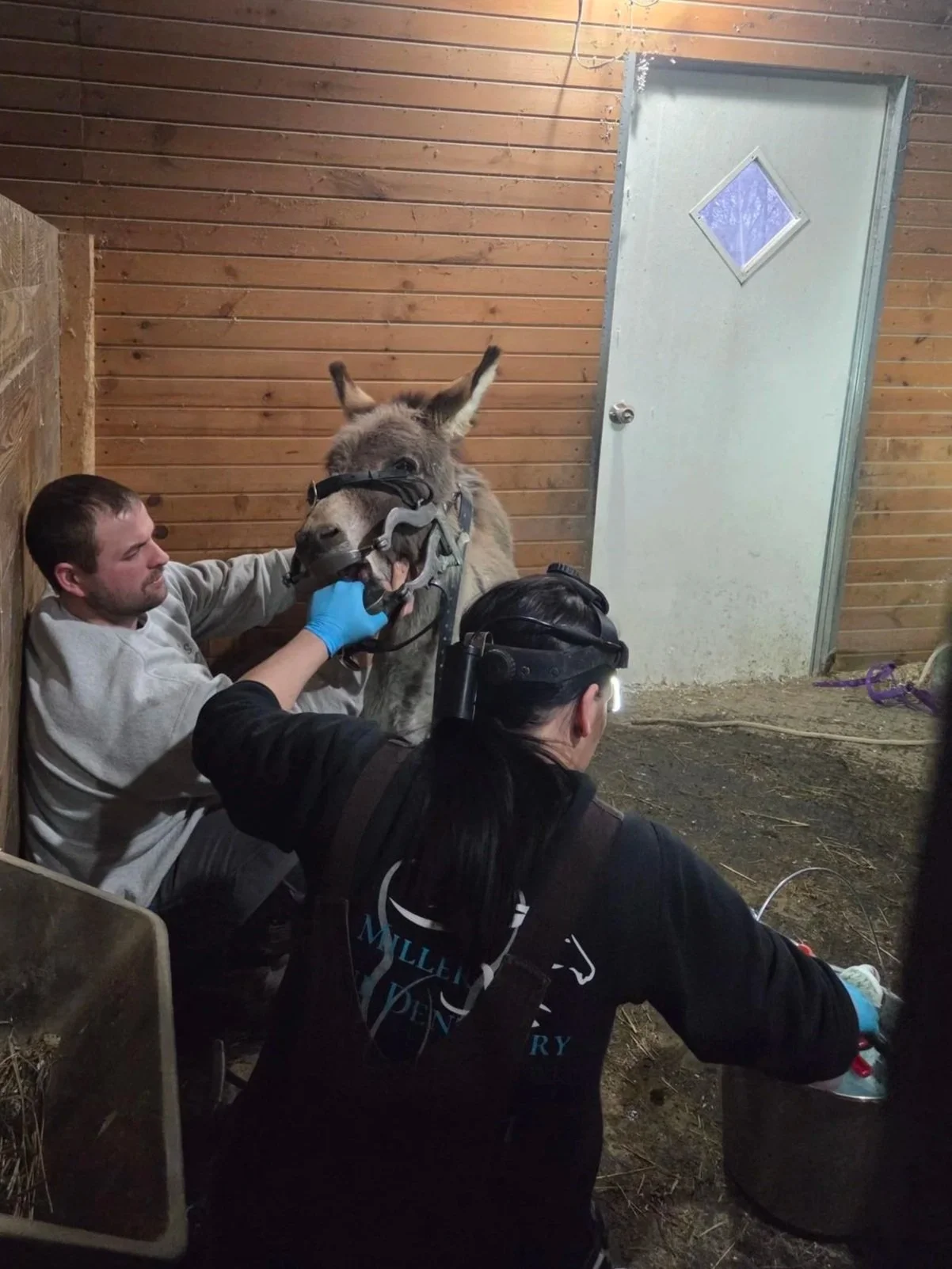 Dental Care 