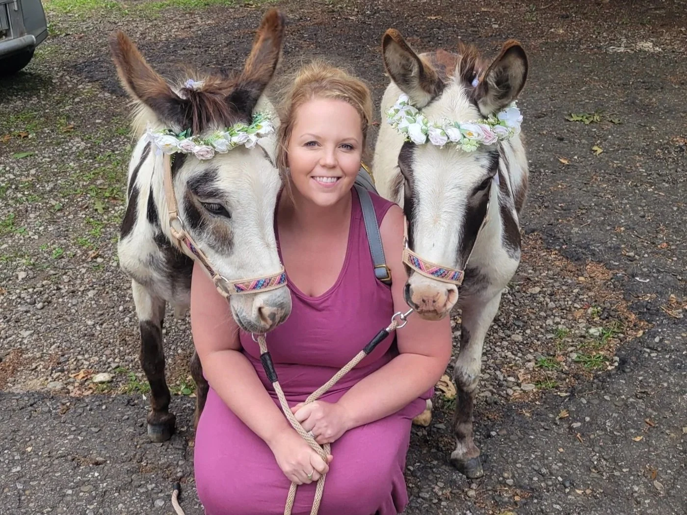 A woman in a purple dress sitting on the ground, smiling, flanked by two donkeys adorned with flower crowns, holding their leashes.