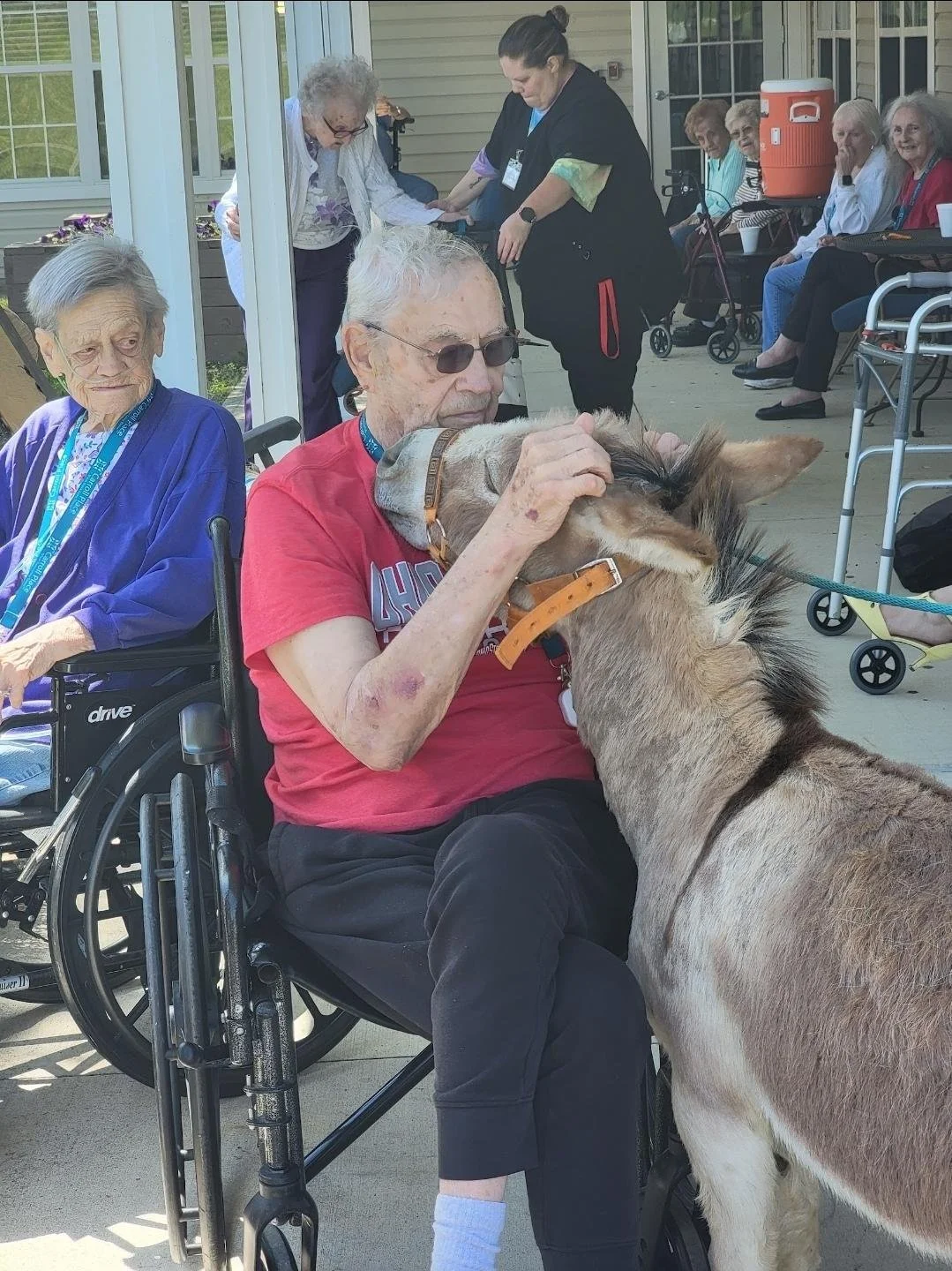 Older woman in a purple robe sitting in a wheelchair, observing as an elderly man in a red t-shirt and sunglasses pets a large brown and white dog. Other elderly women are sitting outside, some in wheelchairs, with caregivers assisting them.