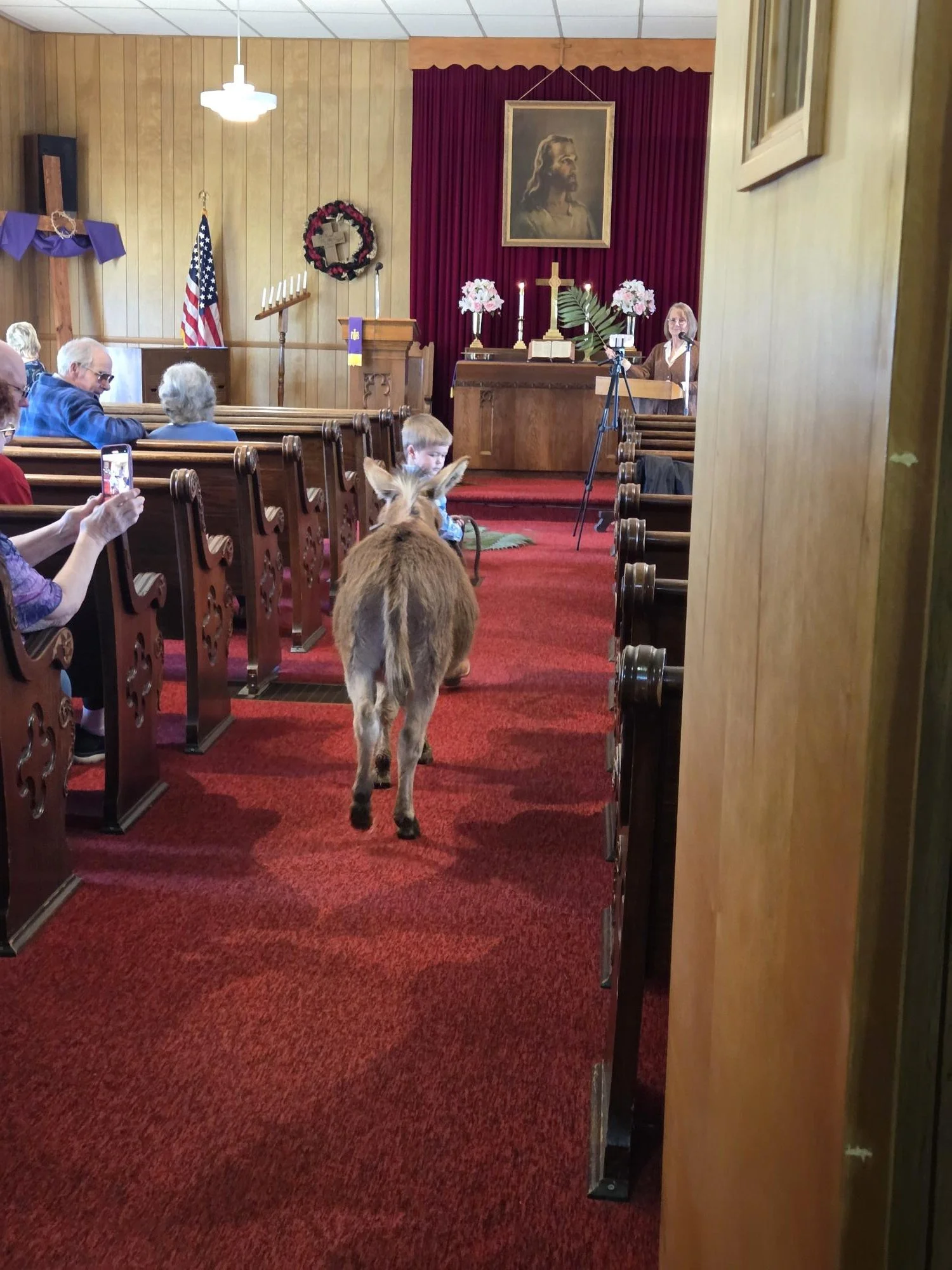 A church interior with wooden walls and pews. A donkey walks down the aisle toward the altar with a child riding on its back. The altar has candles, flowers, and a cross. There are people seated in the pews, some taking pictures. A woman is standing at a podium to the right of the altar. A large portrait of Jesus is hung above the altar.