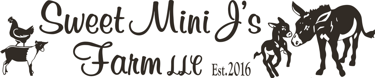 Sweet Mini J's - Miniature Donkey Breeder in Ohio