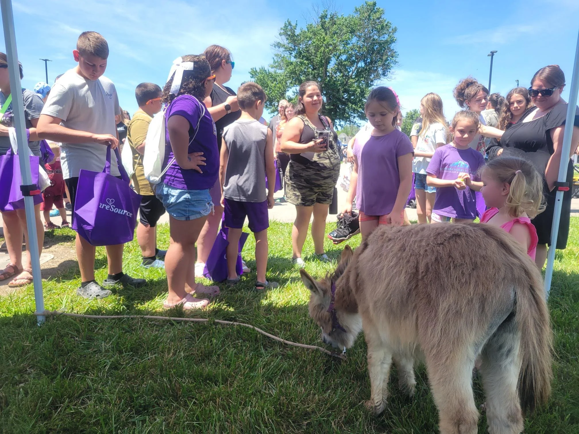 A large group of children and adults gathered outdoors in a sunny park, watching a guinea pig on the grass near a tent.