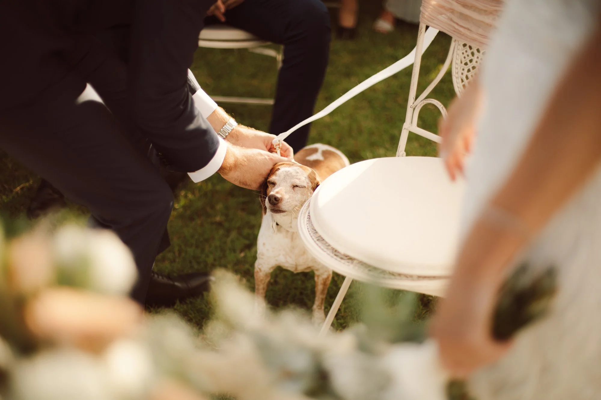 Lo sposo accarezza dolcemente il cagnolino di famiglia presente alla cerimonia di matrimonio all'aperto.